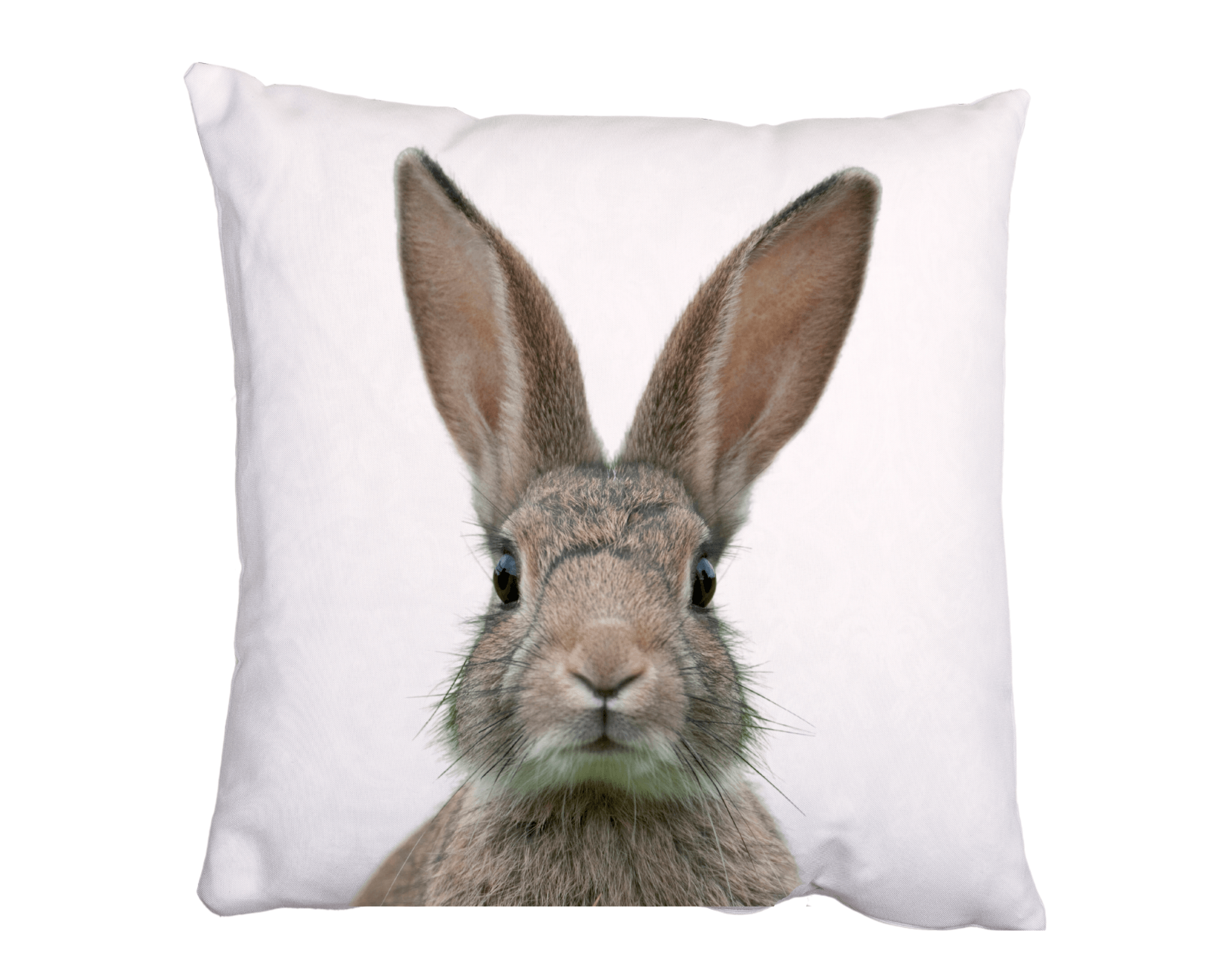 Osterkissen Osterhase | Baumwollkissen in 40x40 cm mit Füllung - Roo's Gift Shop