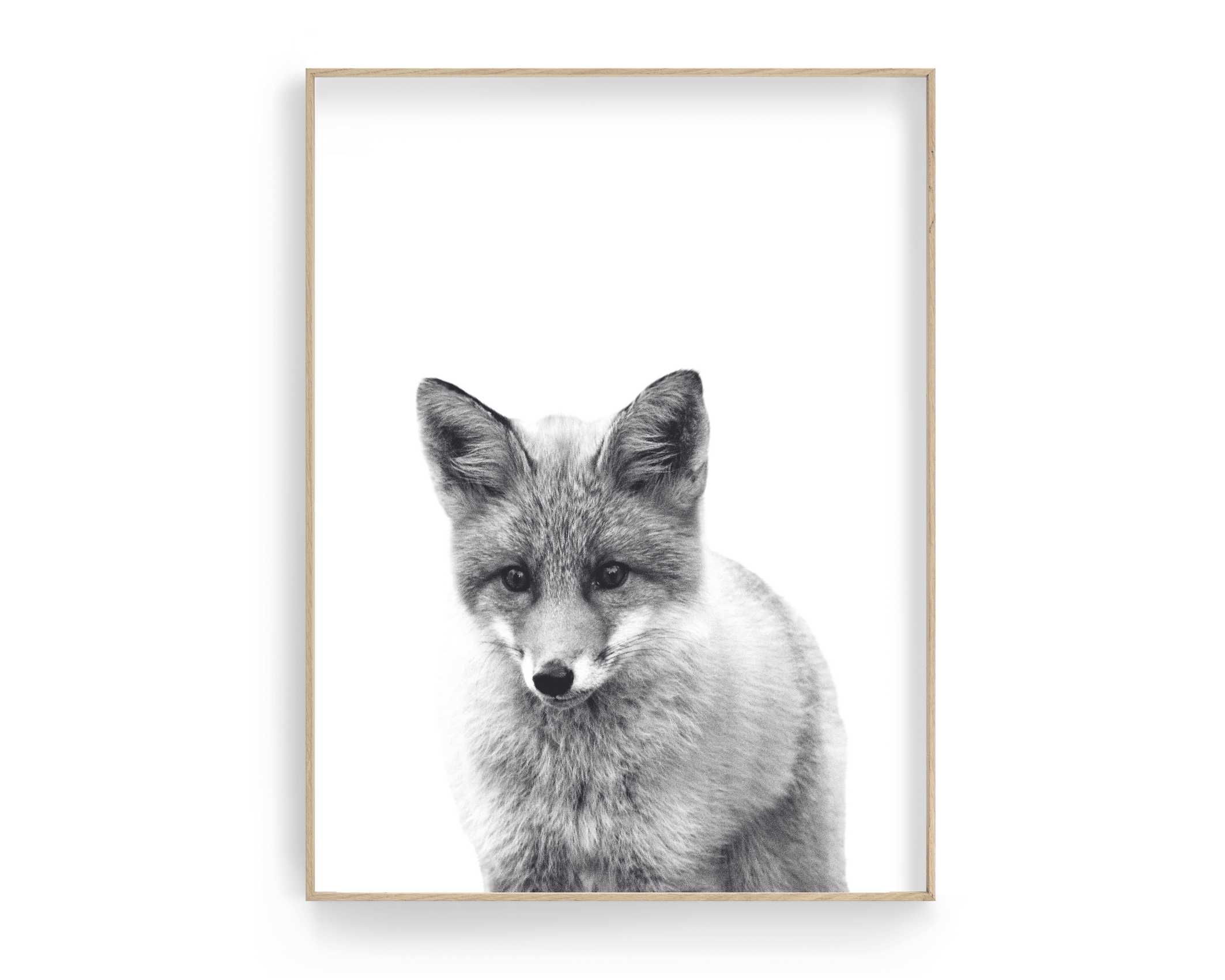 Poster | Tierposter Fuchs | schwarz weiß - Roo's Gift Shop