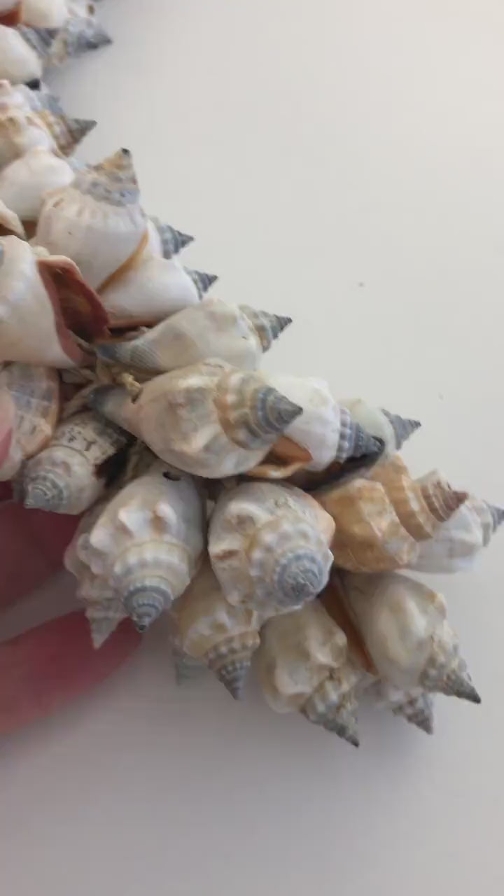 Muscheln | maritime Hängedeko Muscheldeko | Muschel-Hängedeko | Maritime Wanddeko | Deko aus echten Muscheln – ca. 33 cm