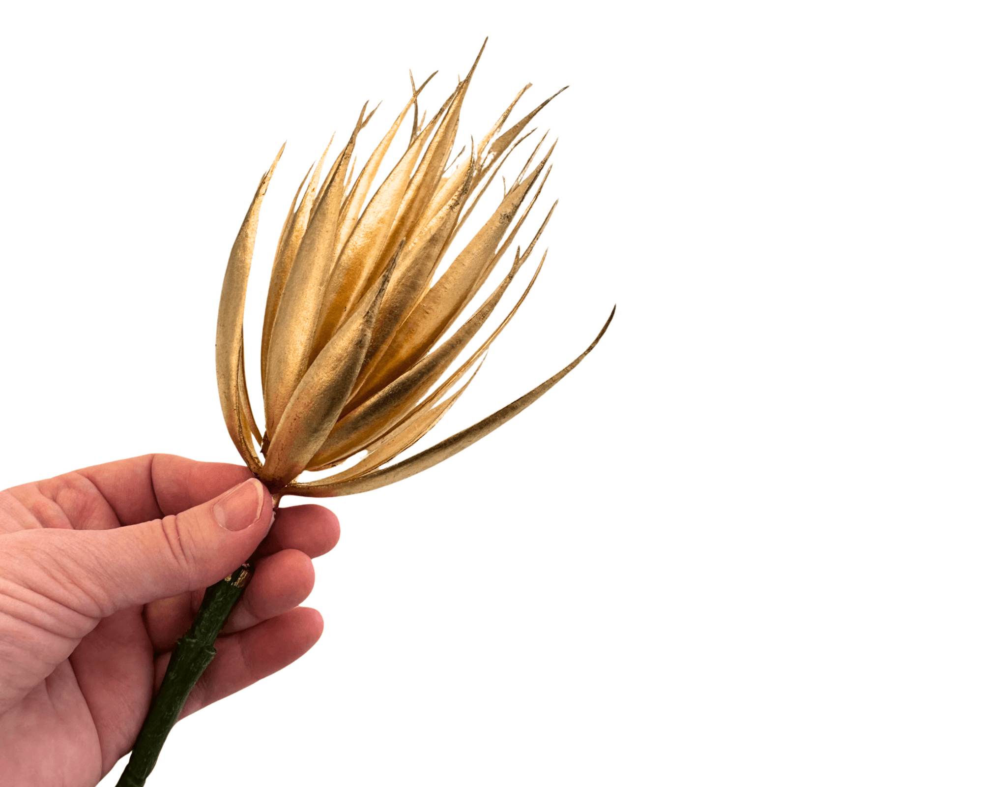 Vase Boho | Steingut lasiert beige | zwei Größen | natur - Roo's Gift Shop