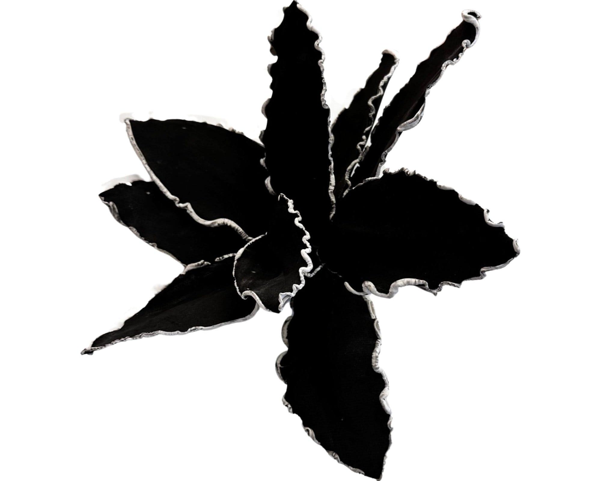 Blume | Vase Skandi Stil | schwarz - Roo's Gift Shop