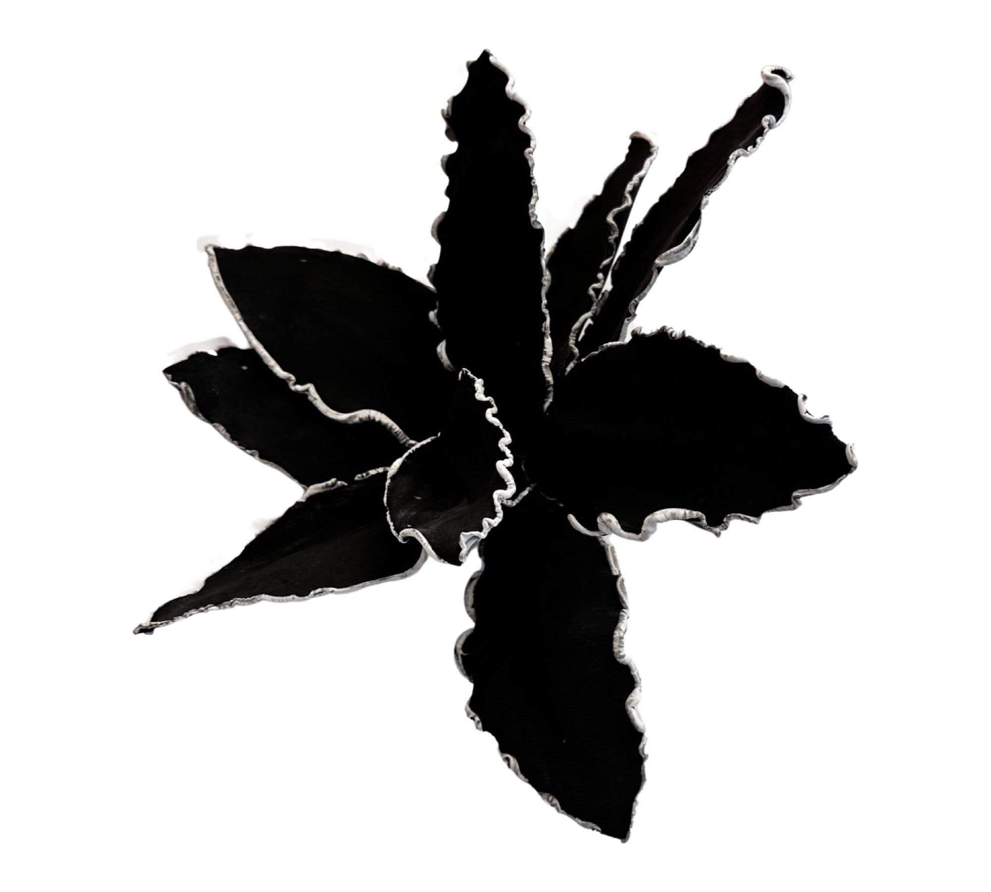 Blume | Vase Skandi Stil | schwarz - Roo's Gift Shop