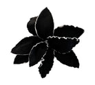Blume | Vase Skandi Stil | schwarz - Roo's Gift Shop
