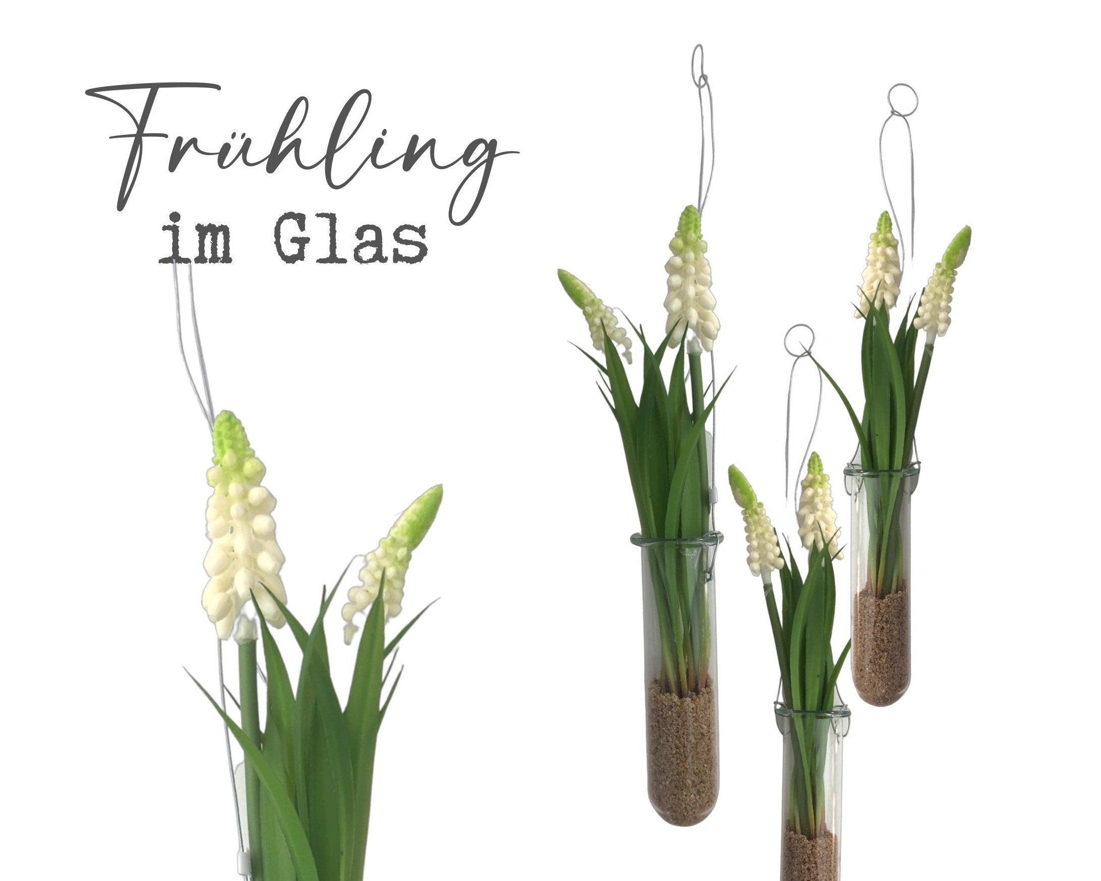 Frühling im Glas | Hyazinthe im Reagenzglas zum Aufhängen - Roo's Gift Shop