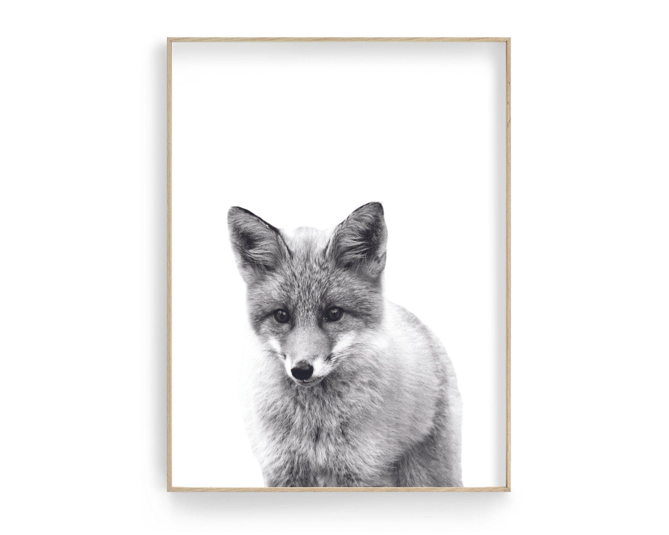Fuchs Poster | schwarz weiß | Foto Kunstdruck | Tierposter - Roo's Gift Shop