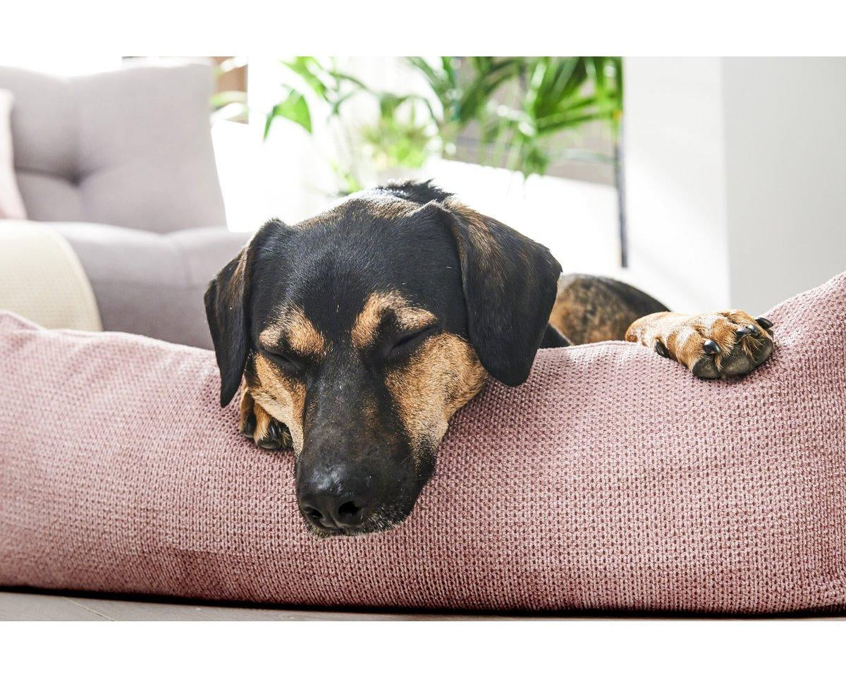 Hundebett | Hunde Körbchen | Classic Dog Bed - TUDOR ROSE - Roo's Gift Shop