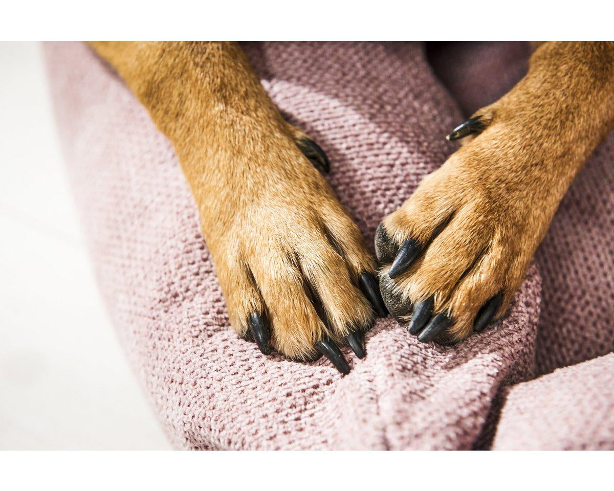 Hundebett | Hunde Körbchen | Classic Dog Bed - TUDOR ROSE - Roo's Gift Shop