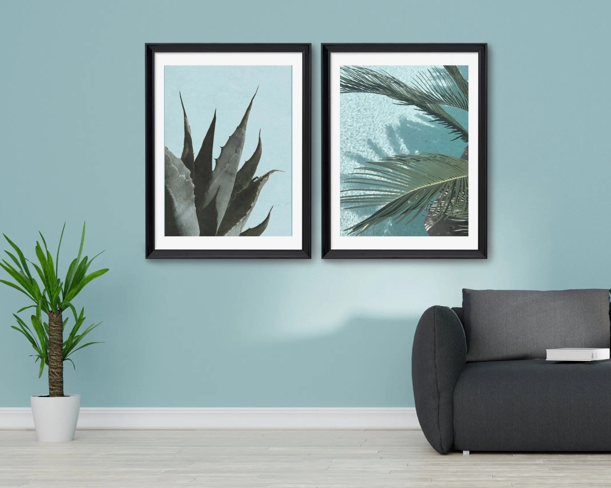 Poster | Natur | Agave | Palme | Blätter Roo's Gift Shop