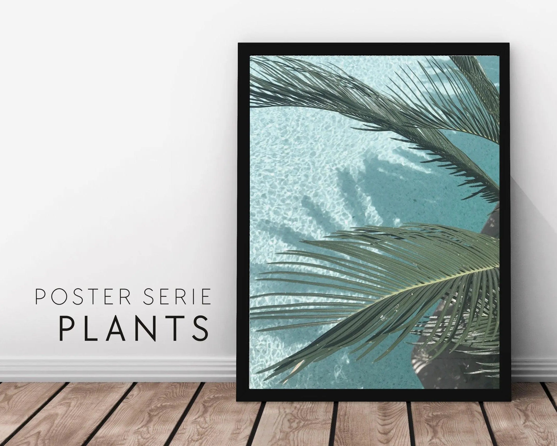 Poster | Natur | Agave | Palme | Blätter - Roo's Gift Shop