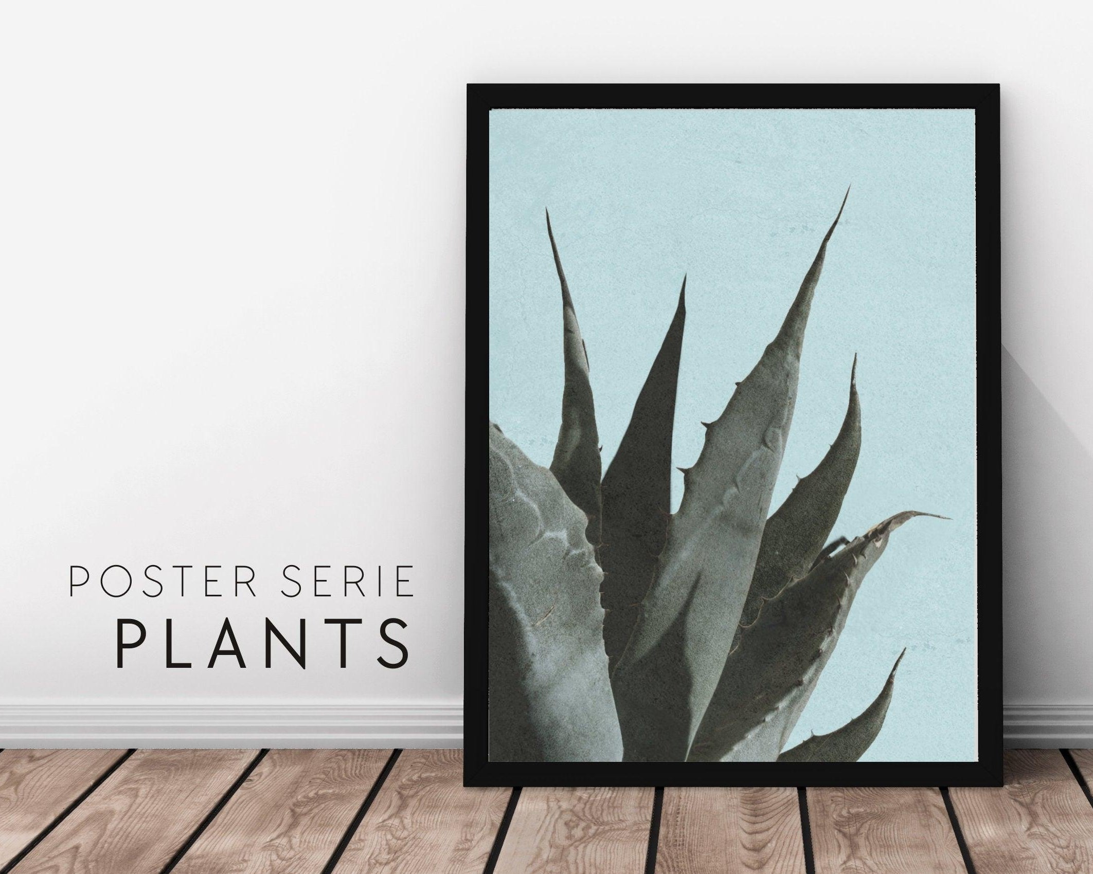 Poster | Natur | Agave | Palme | Blätter - Roo's Gift Shop