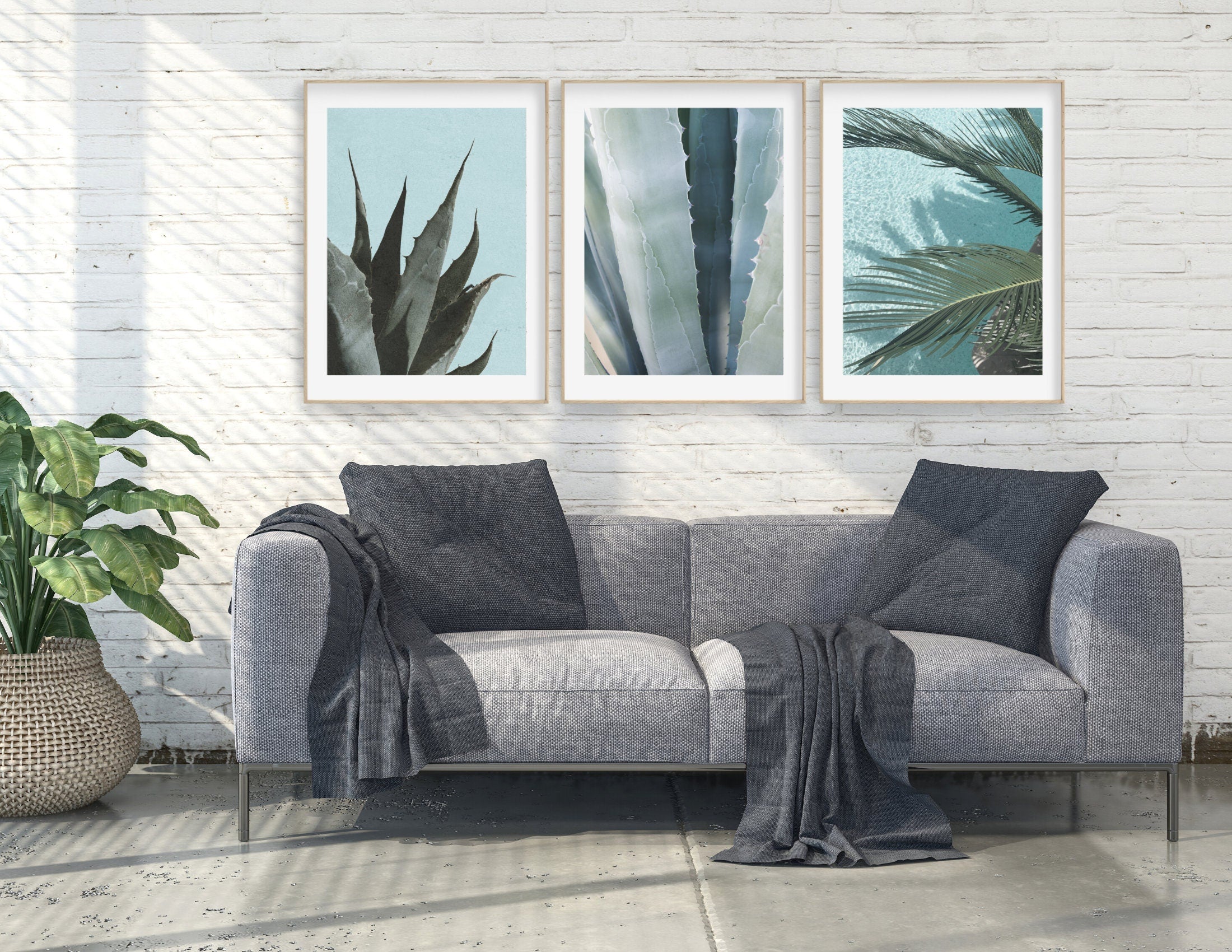 Poster | Natur | Agave | Palme | Blätter Roo's Gift Shop