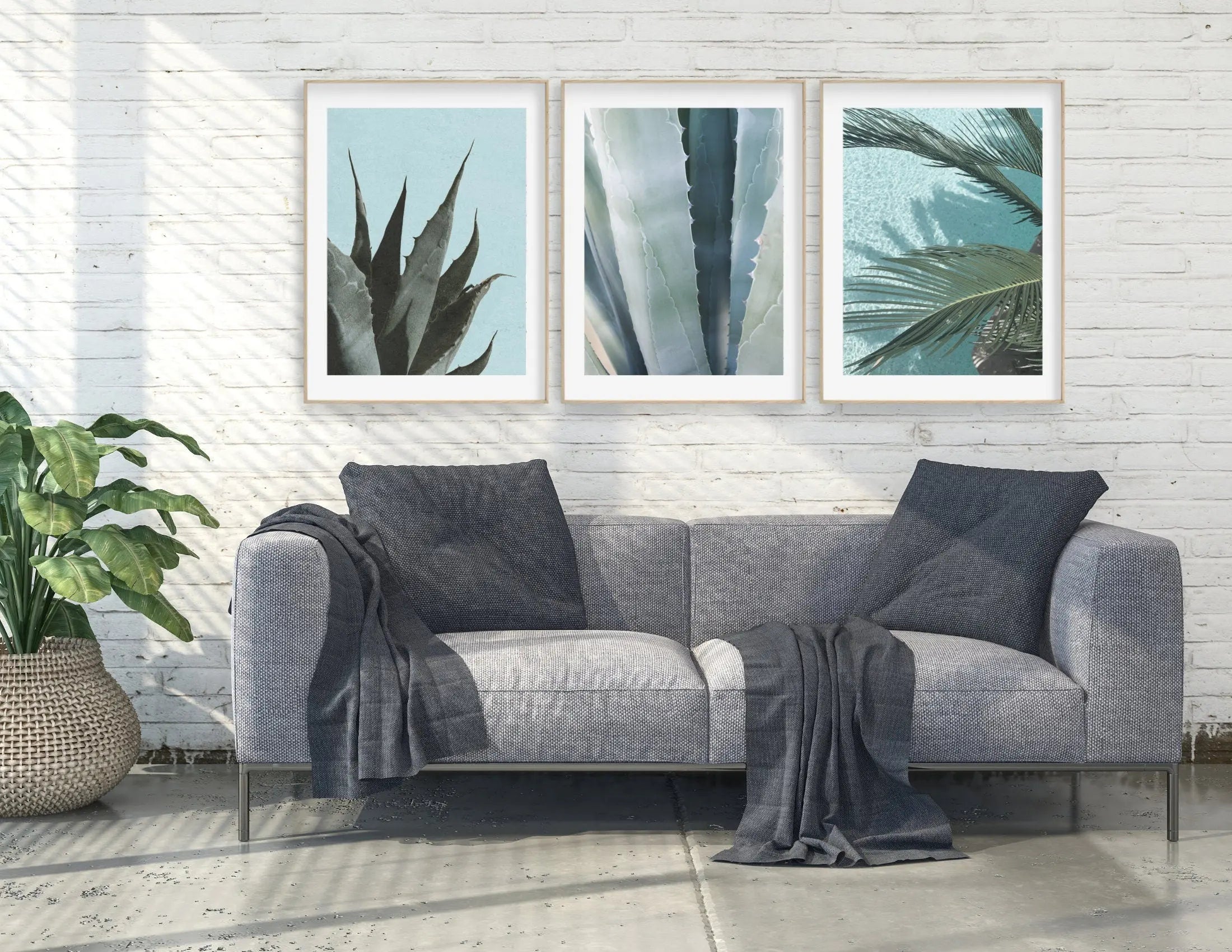 Poster | Natur | Agave | Palme | Blätter Roo's Gift Shop
