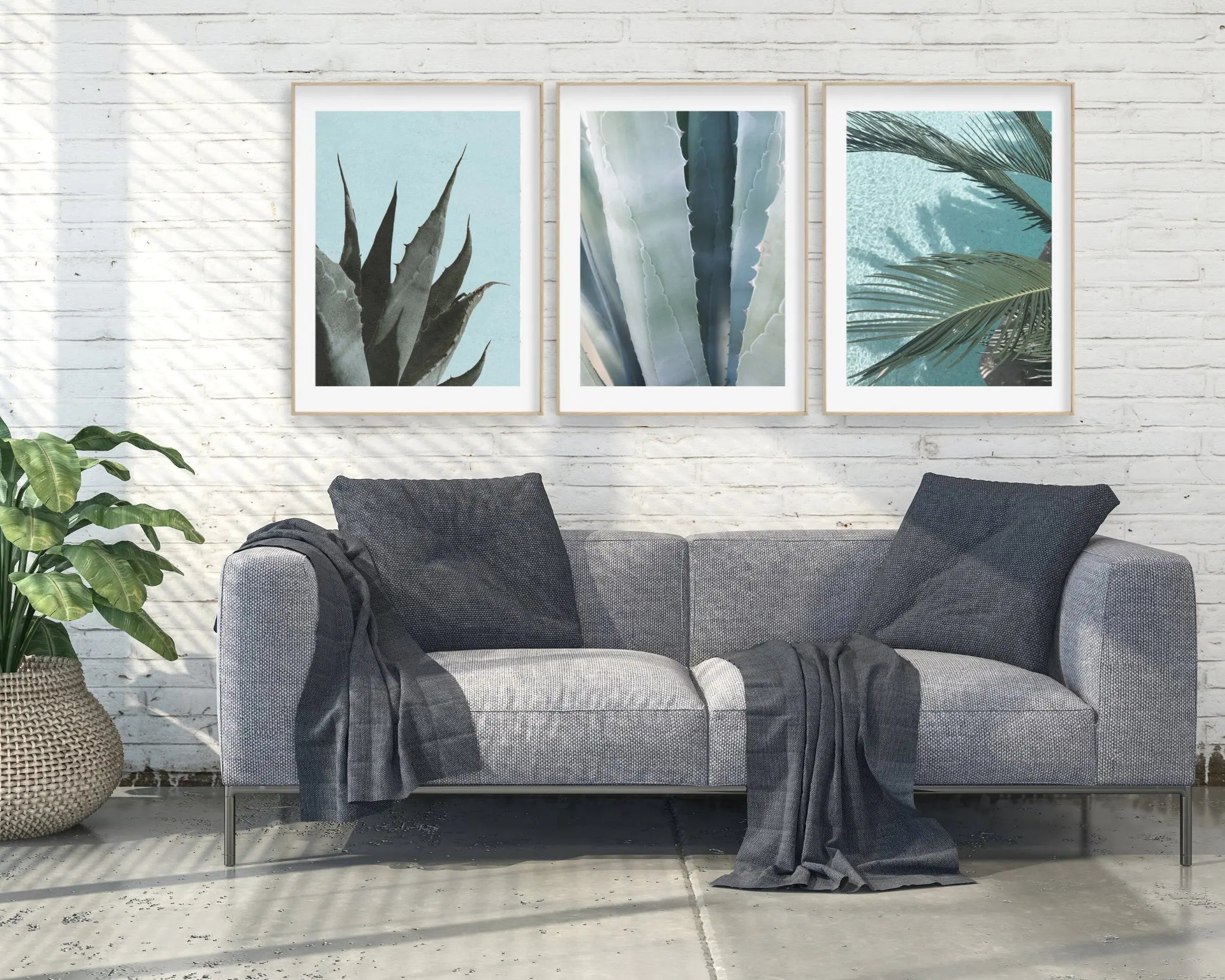 Poster | Natur | Agave | Palme | Blätter Roo's Gift Shop