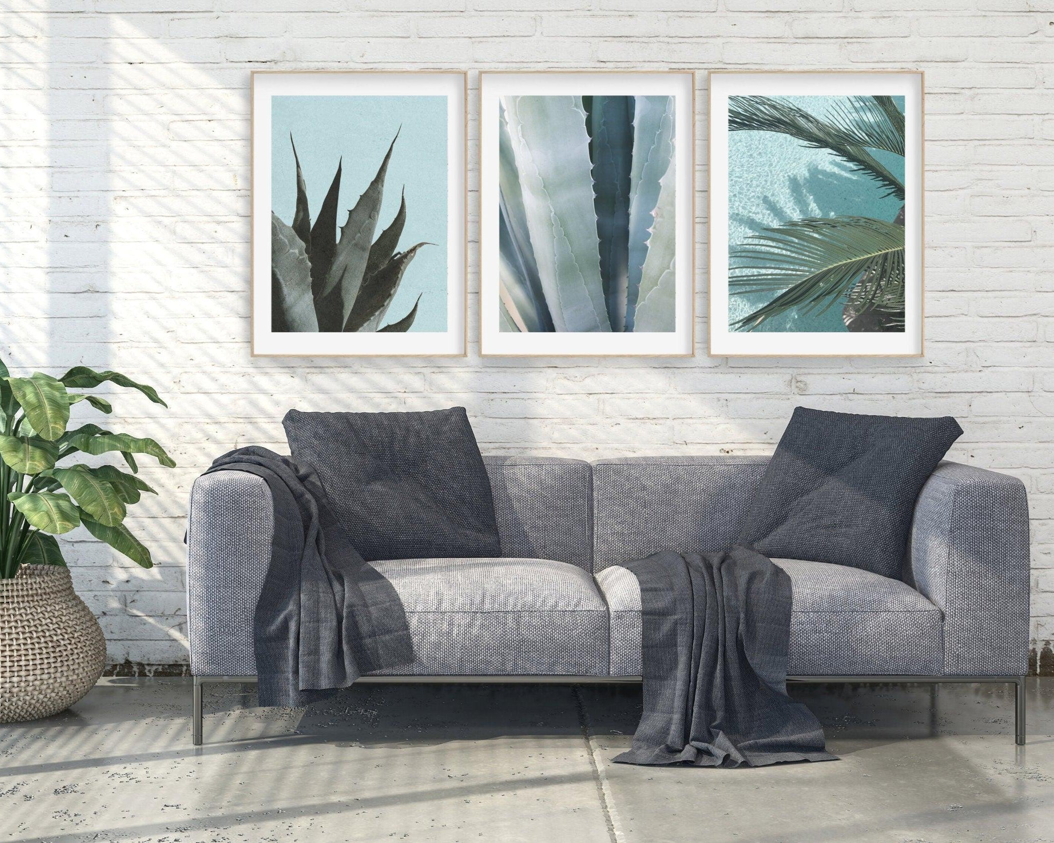 Poster | Natur | Agave | Palme | Blätter - Roo's Gift Shop