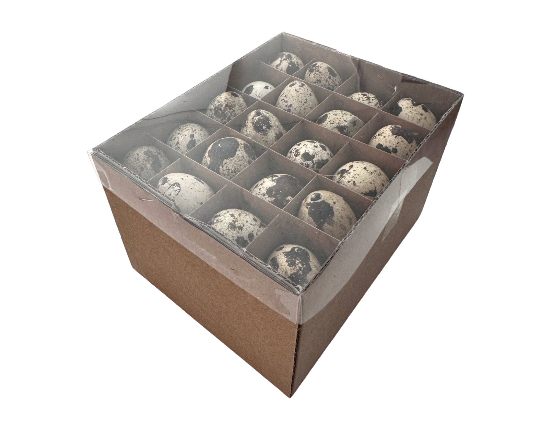 Wachtel Eier | 24 Stck weiß oder 60 Stck natur