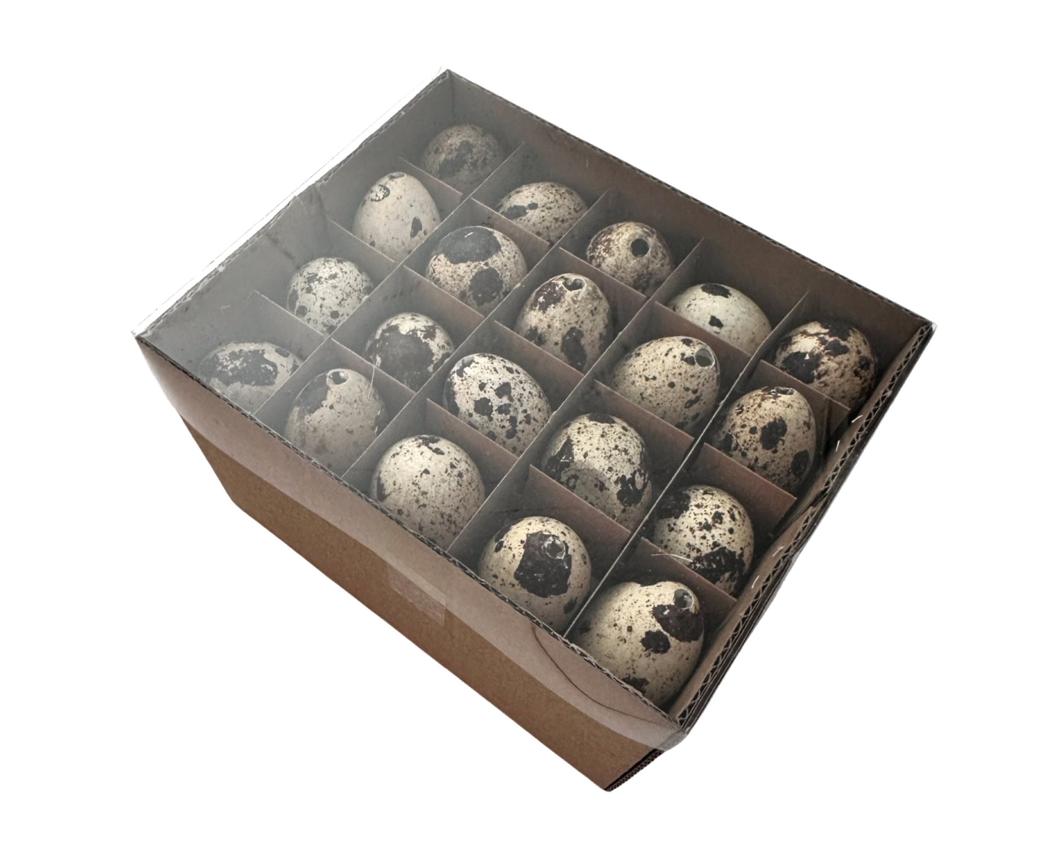 Wachtel Eier | 24 Stck weiß oder 60 Stck natur