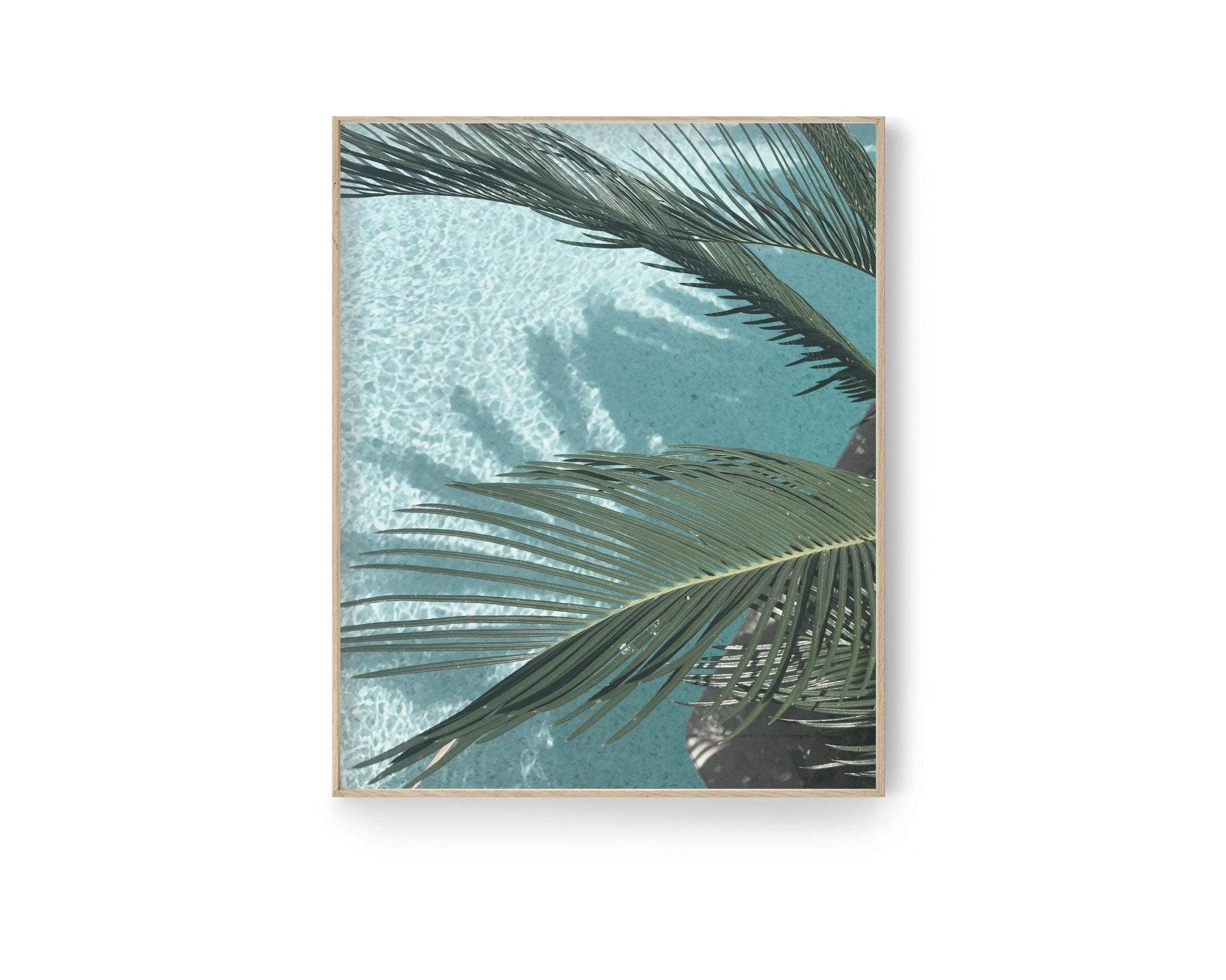 Poster | Natur | Agave | Palme | Blätter - Roo's Gift Shop