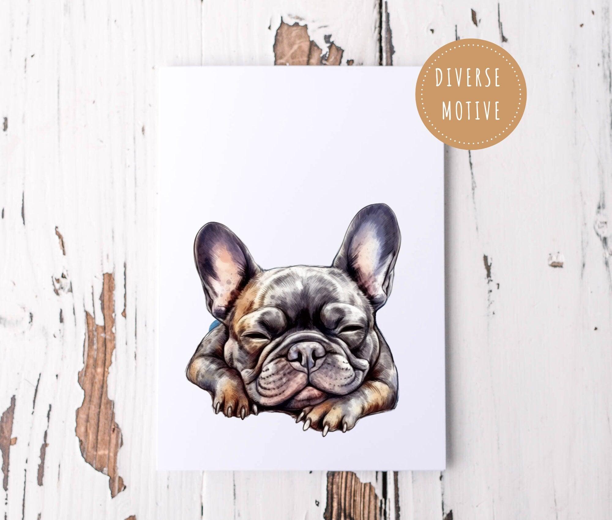 Karte Hund | Geburtstag | Frenchie, Buldogge - Roo's Gift Shop