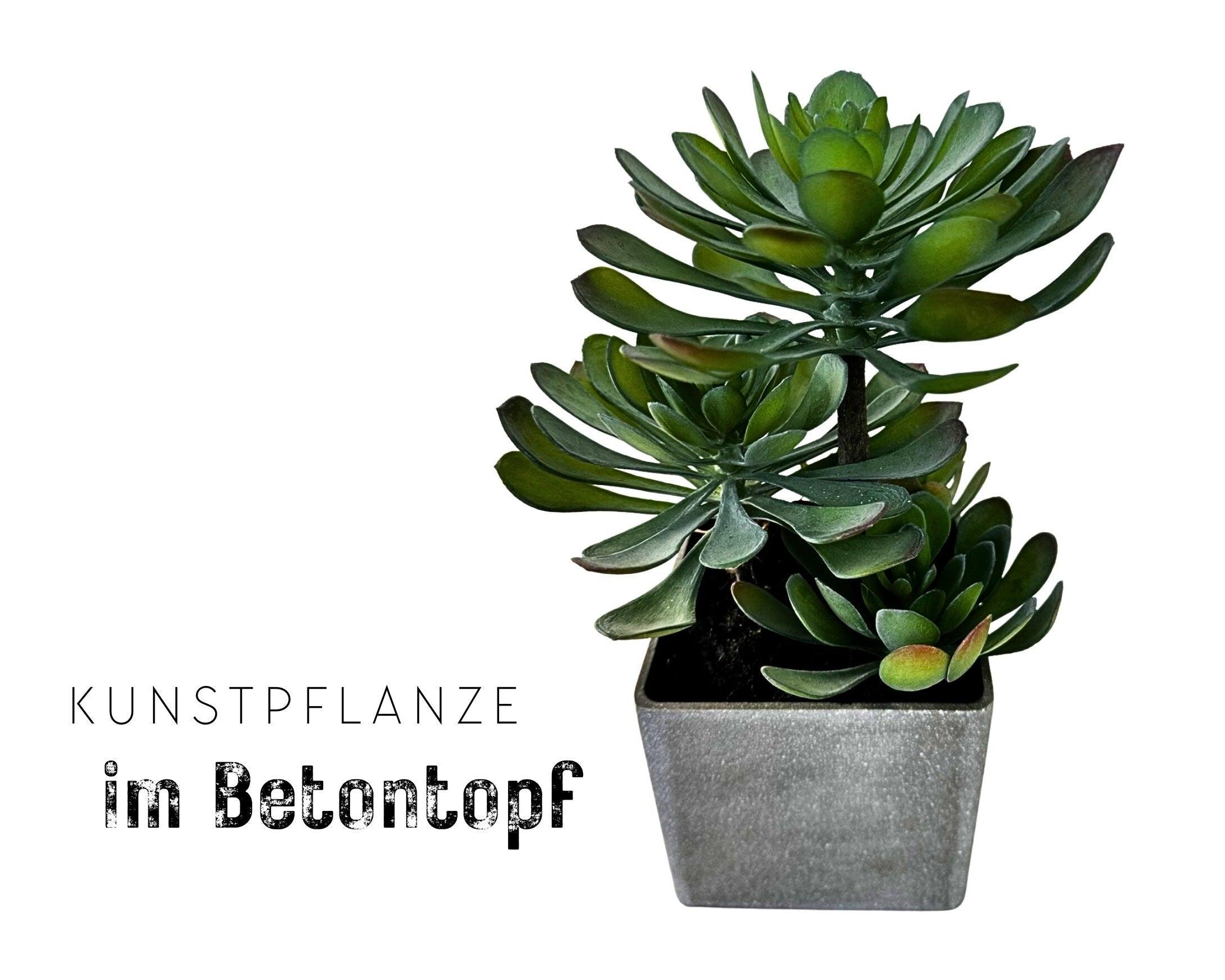 Kunstpflanze | Sukkulenten | im viereckigen Betontopf - Roo's Gift Shop