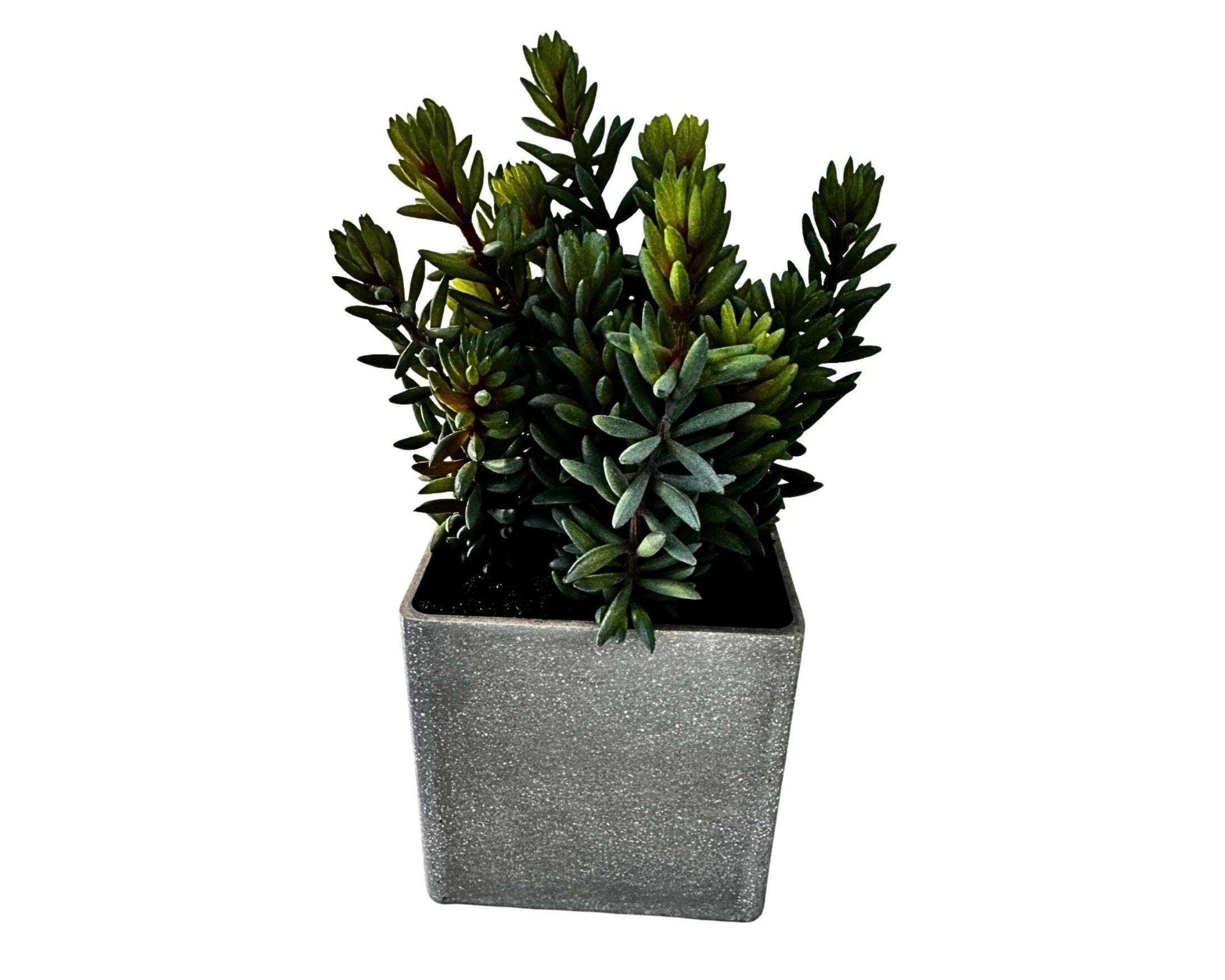 Kunstpflanze | Sukkulenten | im viereckigen Betontopf - Roo's Gift Shop