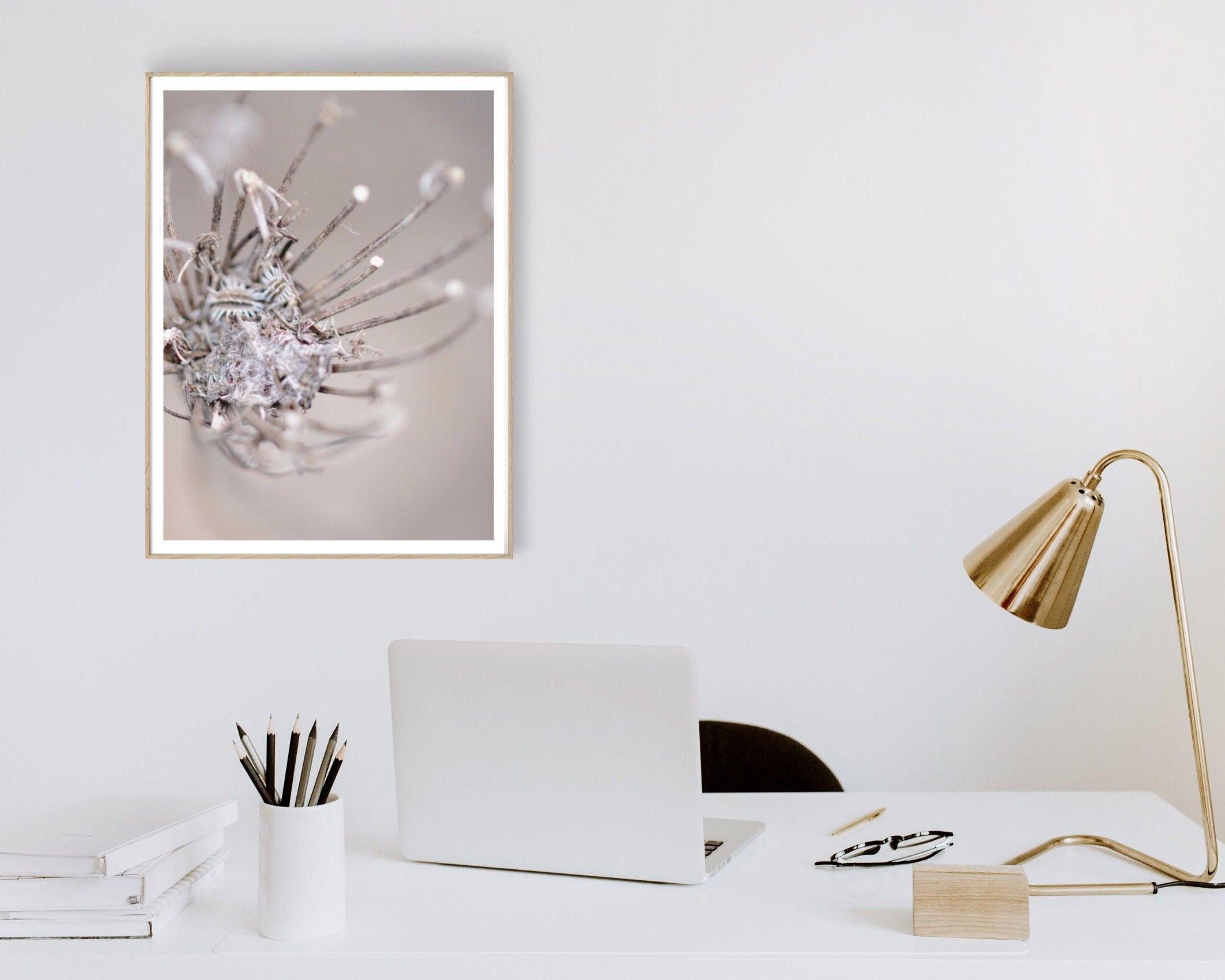 Poster | Blumen | Pampas Gräser Reed - Roo's Gift Shop