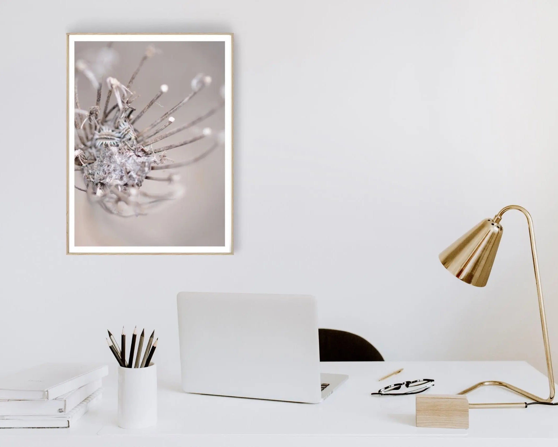 Poster | Blumen | Pampas Gräser Reed - Roo's Gift Shop