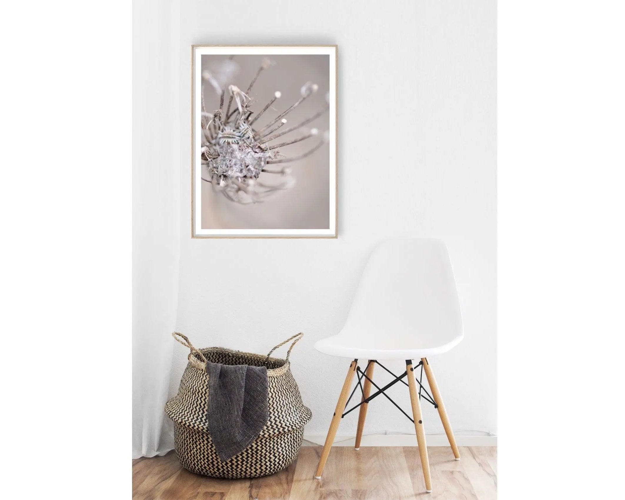 Poster | Blumen | Pampas Gräser Reed - Roo's Gift Shop