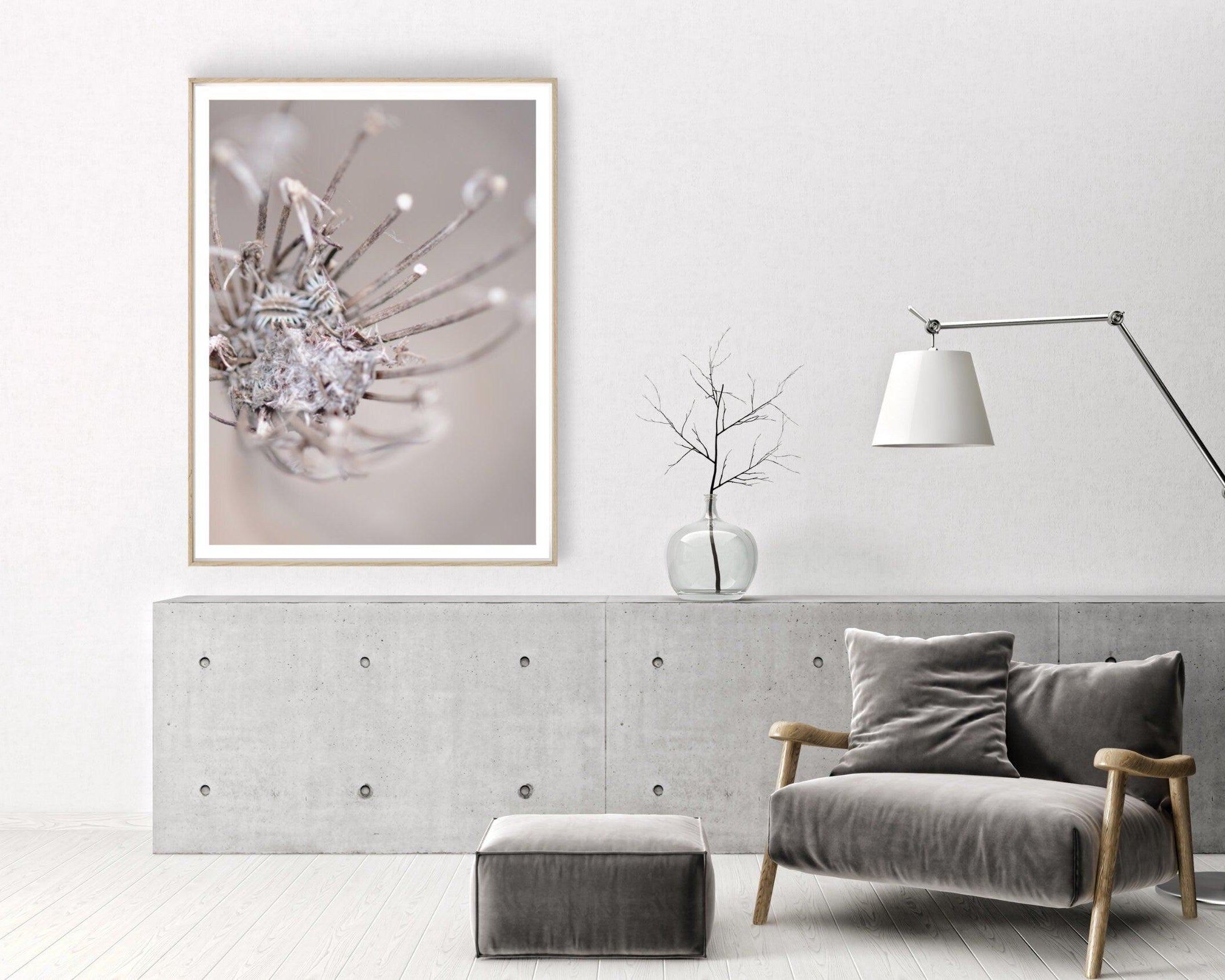 Poster | Blumen | Pampas Gräser Reed - Roo's Gift Shop