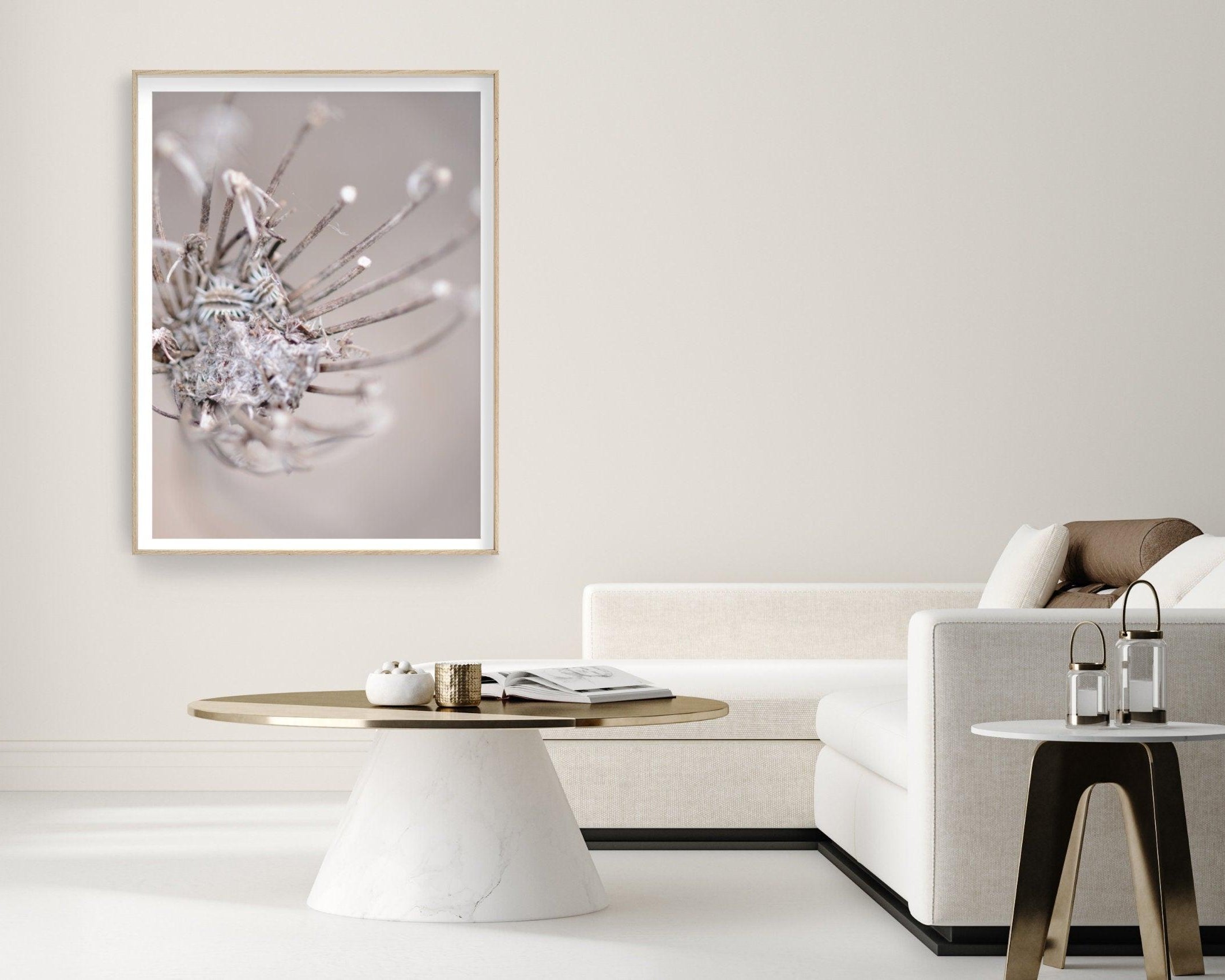 Poster | Blumen | Pampas Gräser Reed - Roo's Gift Shop