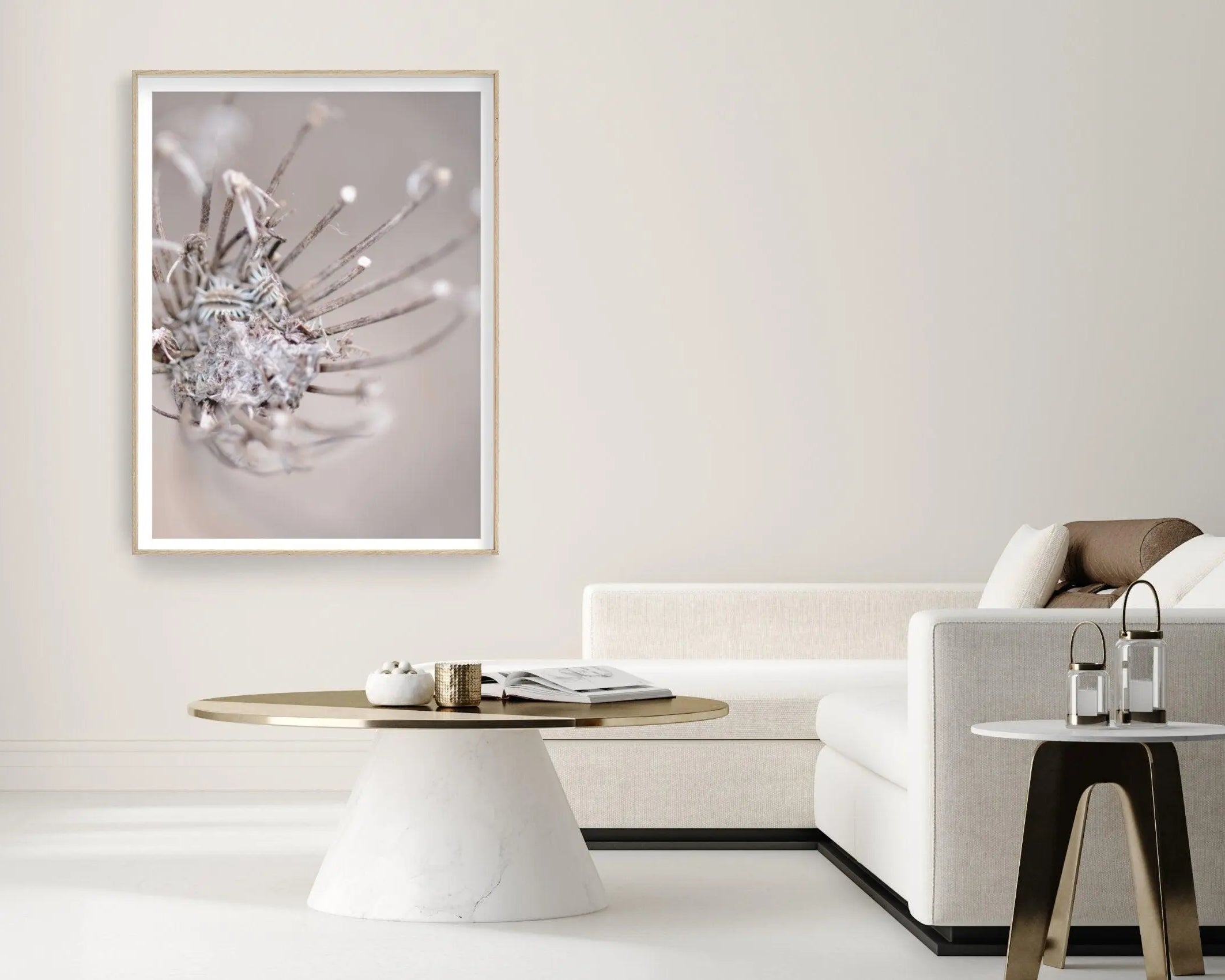 Poster | Blumen | Pampas Gräser Reed - Roo's Gift Shop