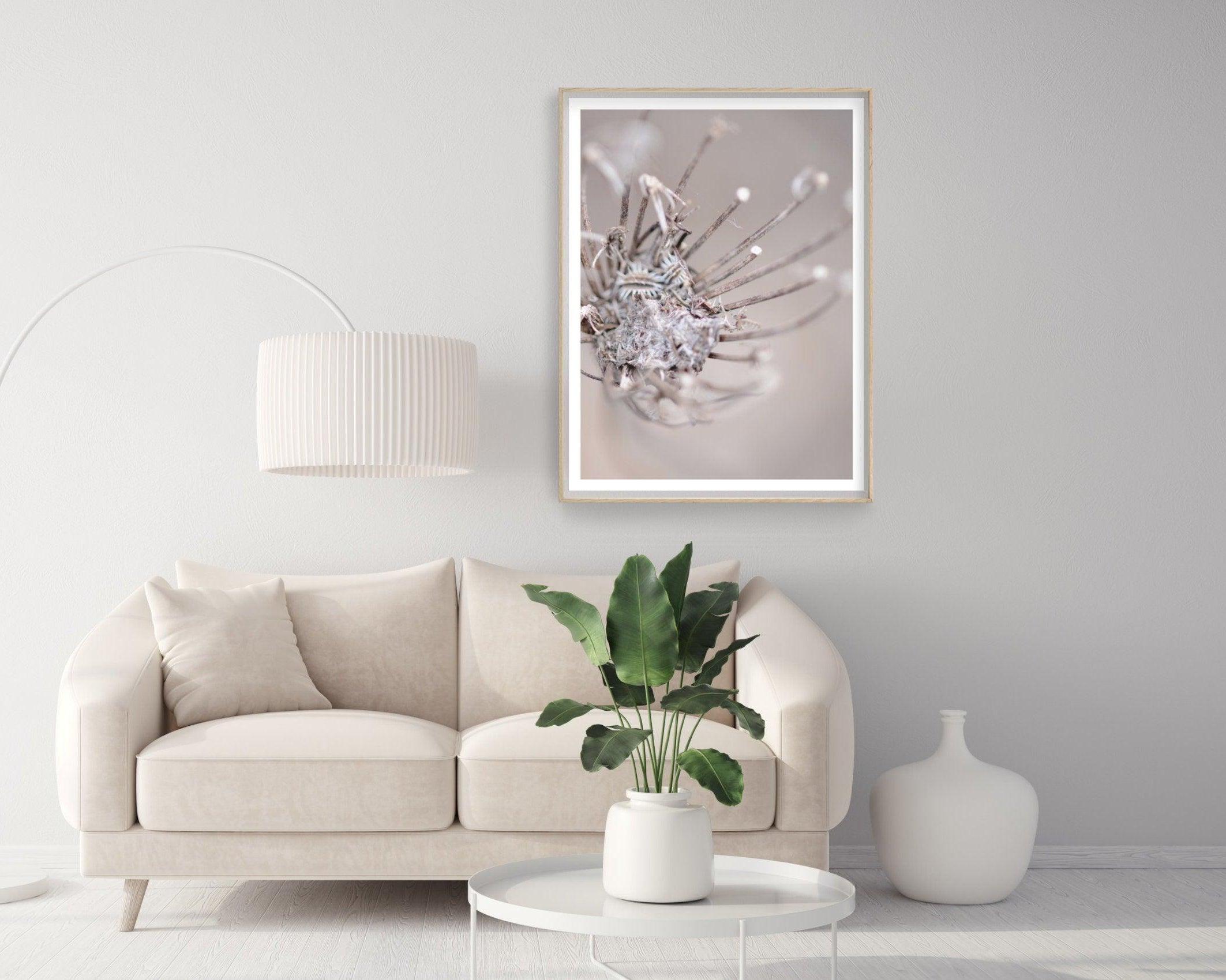 Poster | Blumen | Pampas Gräser Reed - Roo's Gift Shop