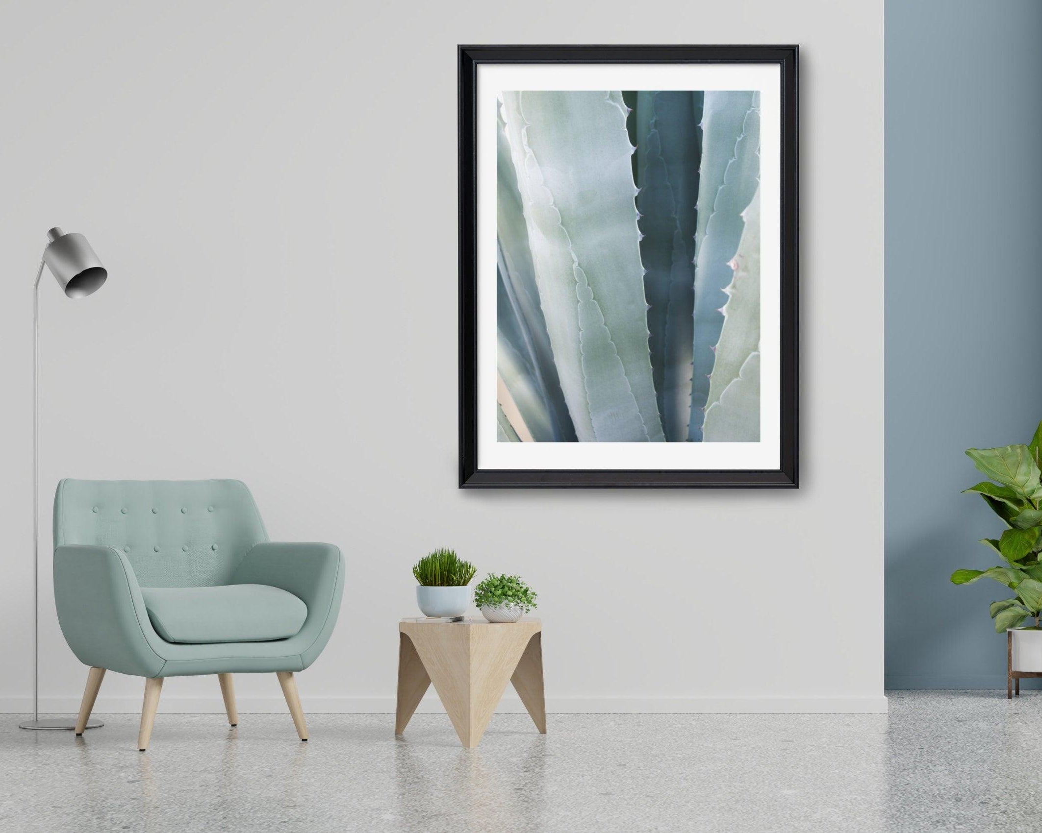 Poster | Natur | Agave | Palme | Blätter - Roo's Gift Shop