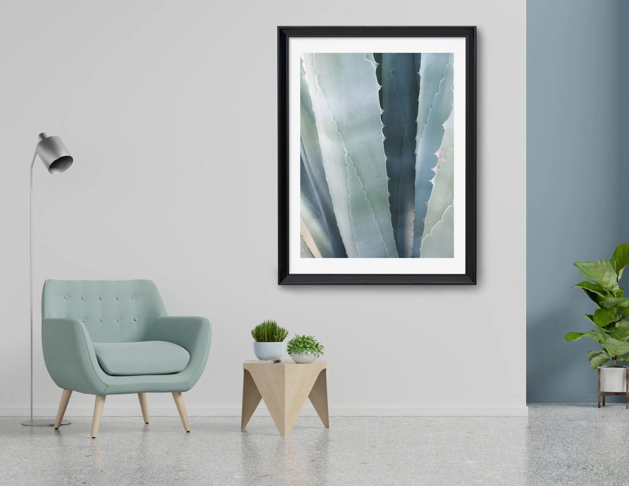 Poster | Natur | Agave | Palme | Blätter - Roo's Gift Shop