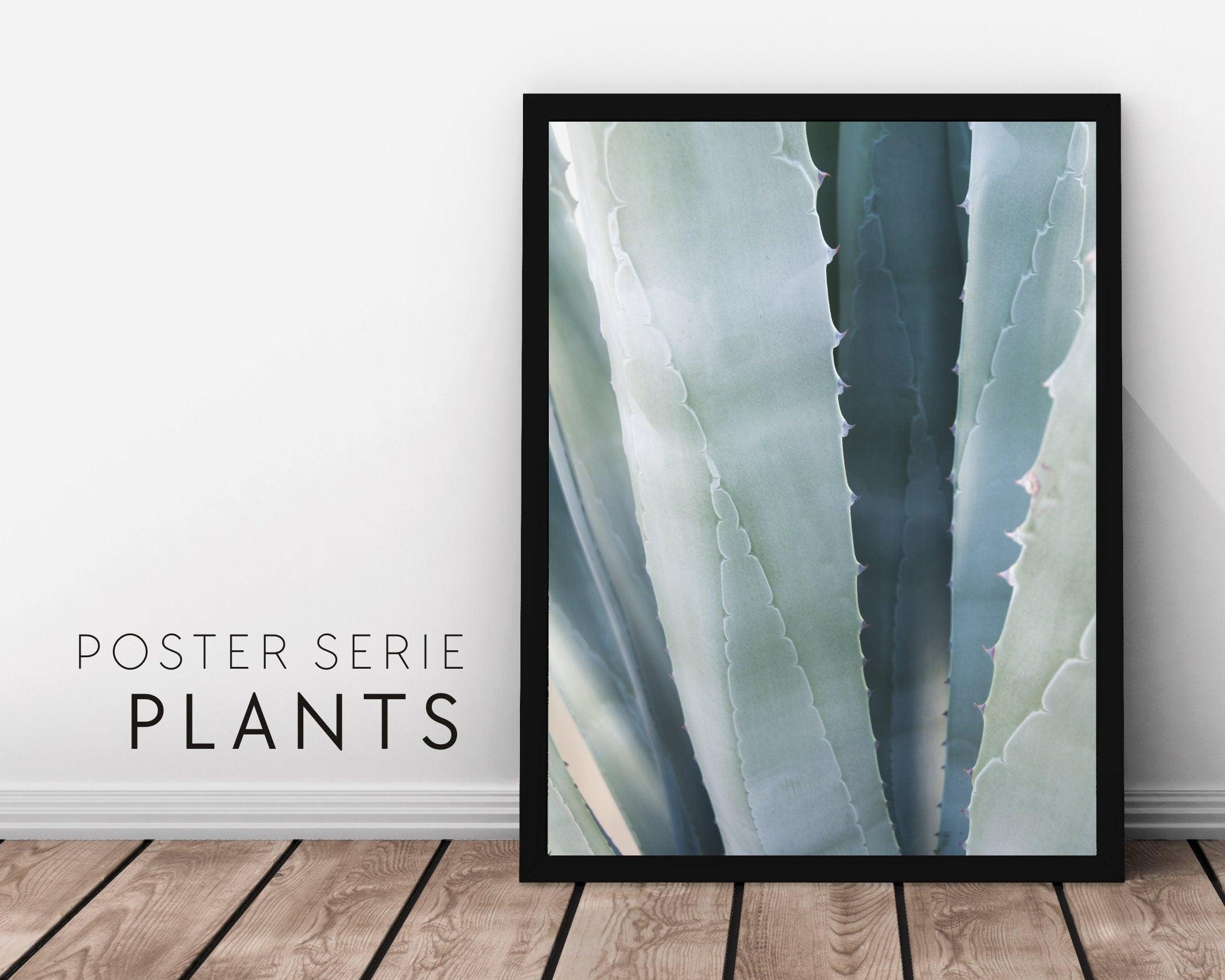 Poster | Natur | Agave | Palme | Blätter - Roo's Gift Shop
