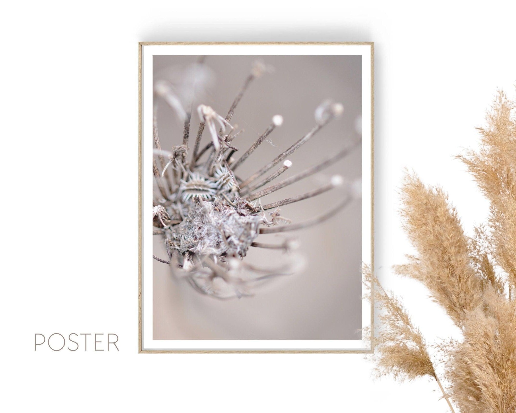 Poster | Natur | Blüte - Roo's Gift Shop