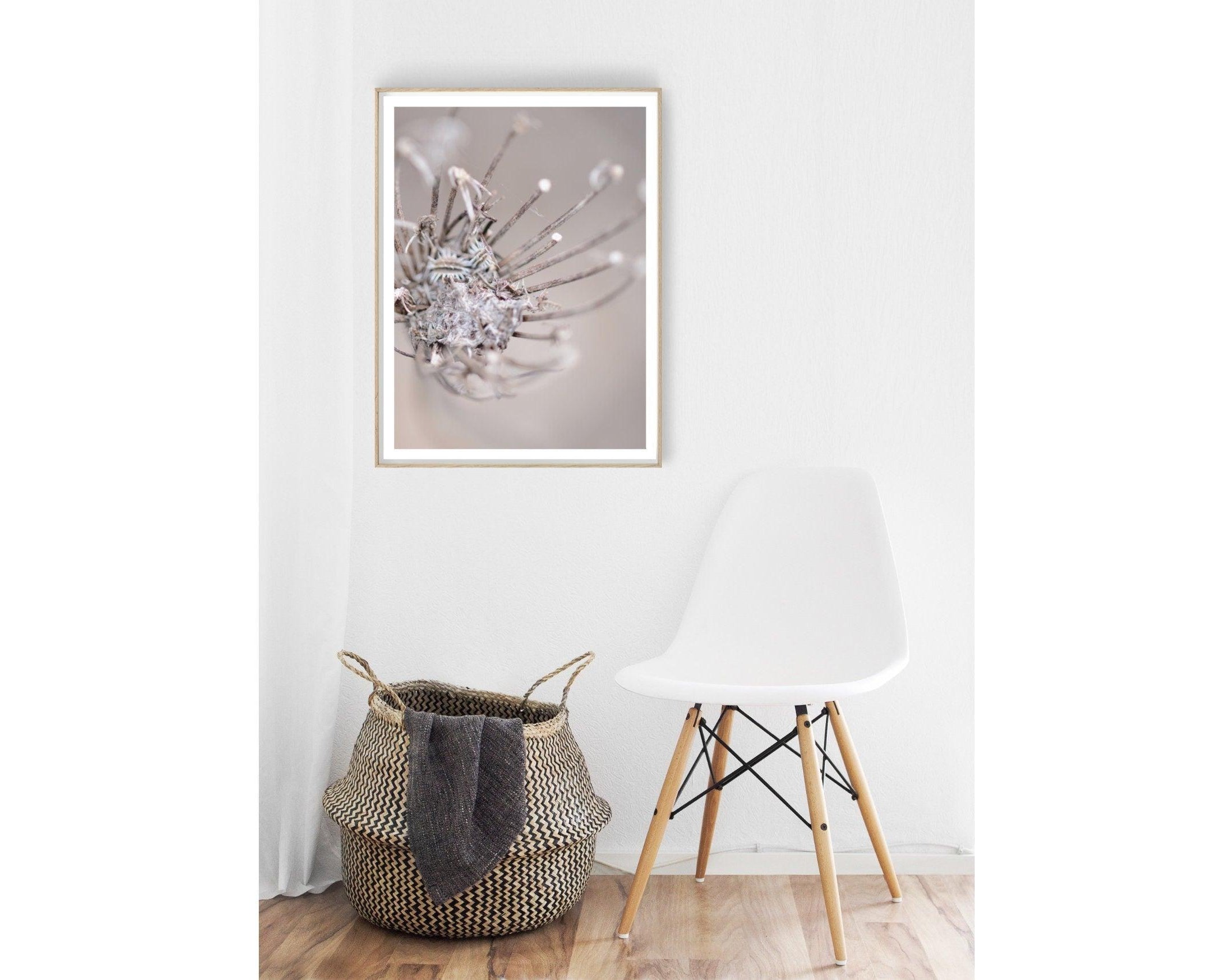 Poster | Natur | Blüte - Roo's Gift Shop