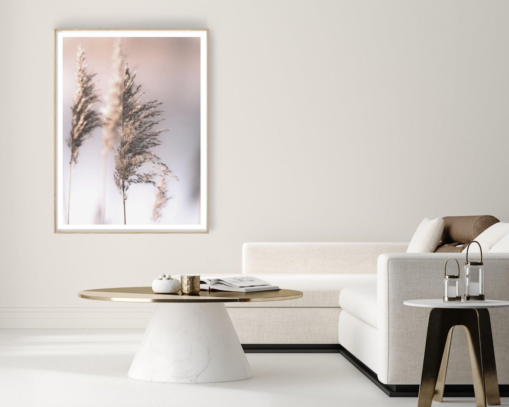 Poster | Natur | Gräser Reed - Roo's Gift Shop