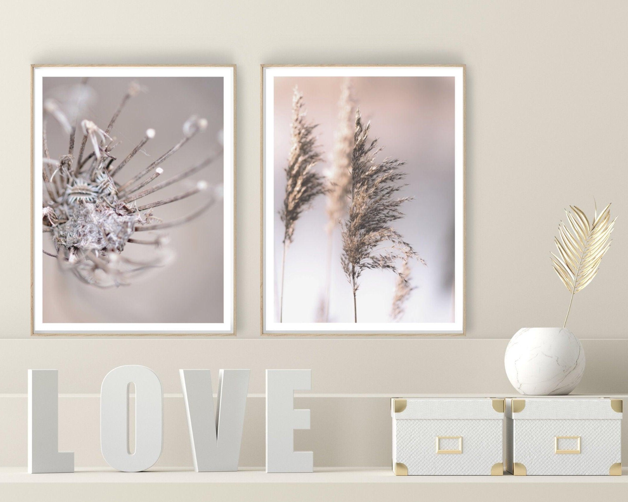 Poster | Natur | Gräser Reed - Roo's Gift Shop