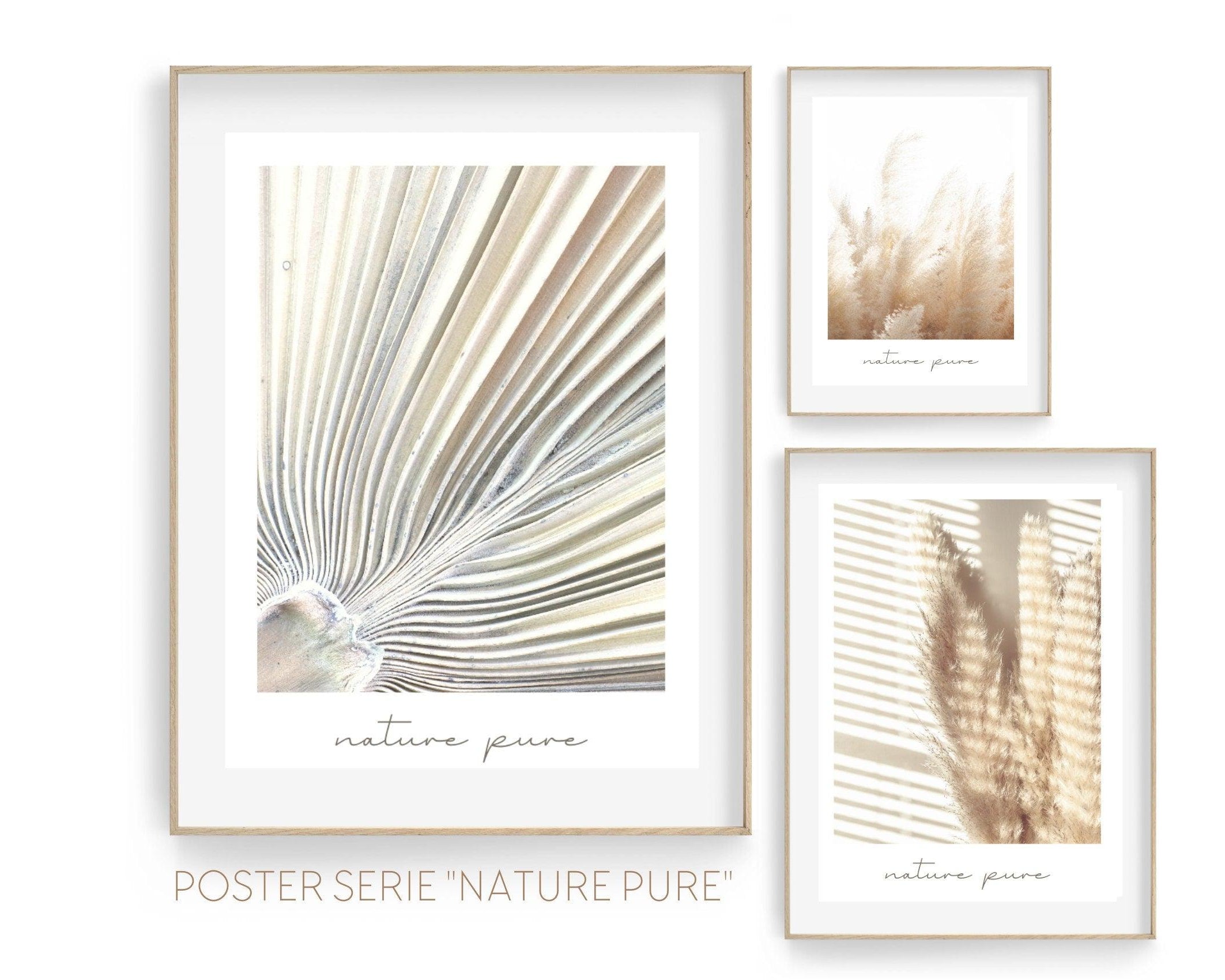 Poster | Natur | Palmen | Gräser | Pampas - Roo's Gift Shop