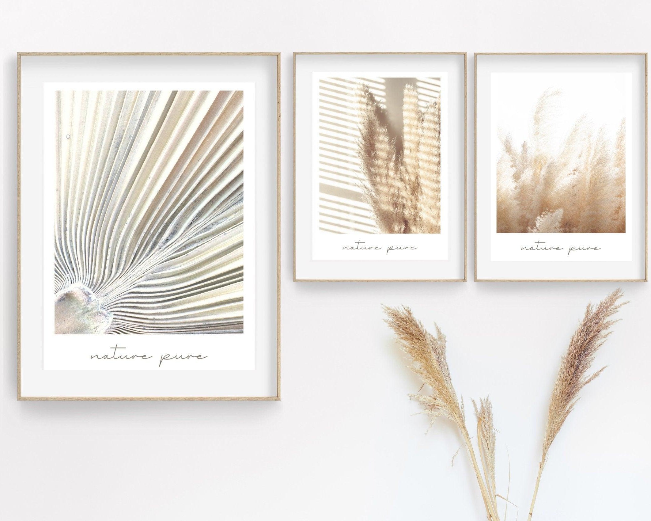 Poster | Natur | Palmen | Gräser | Pampas - Roo's Gift Shop