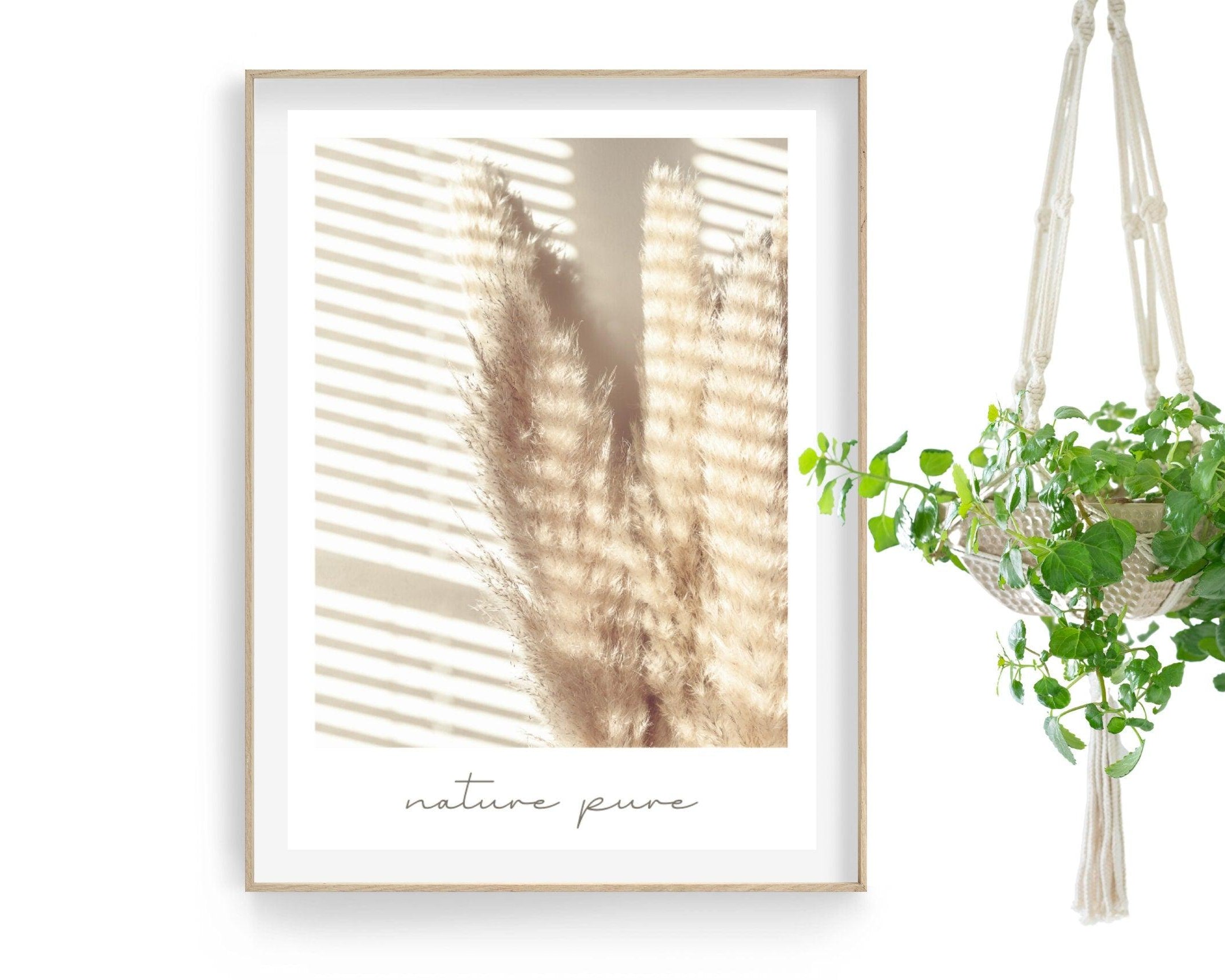 Poster | Natur | Palmen | Gräser | Pampas - Roo's Gift Shop