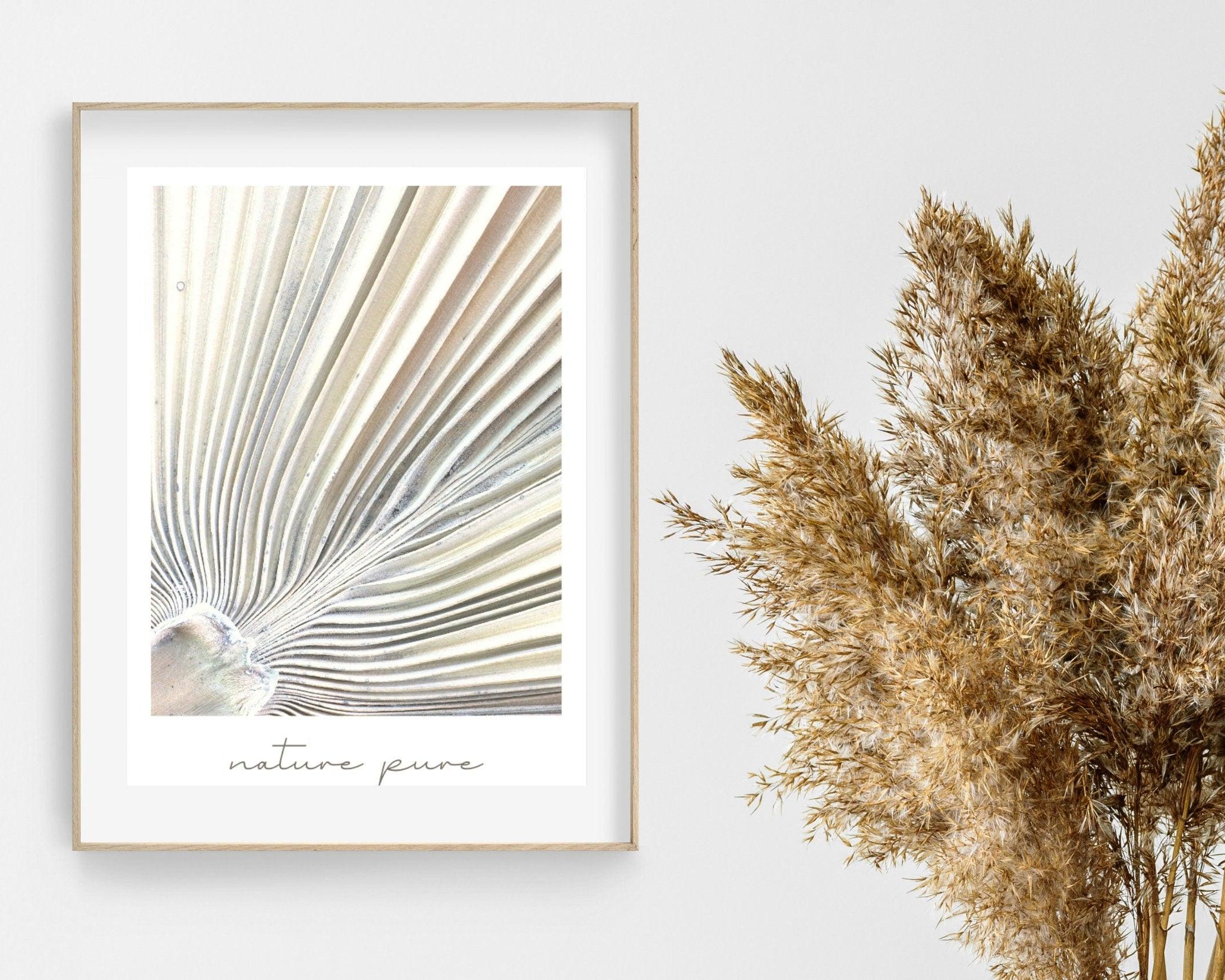 Poster | Natur | Palmen | Gräser | Pampas - Roo's Gift Shop