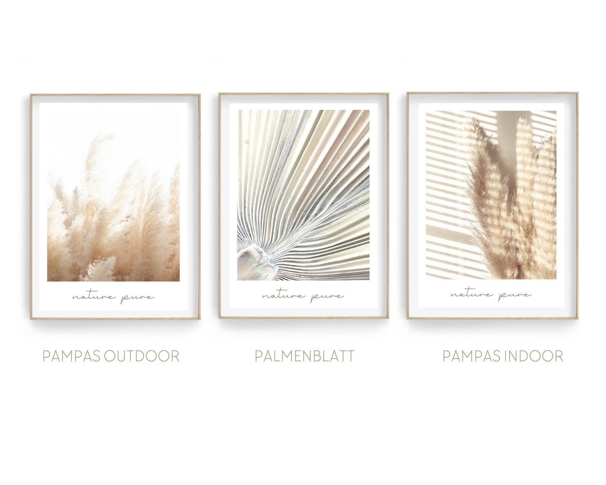 Poster | Natur | Palmen | Gräser | Pampas - Roo's Gift Shop