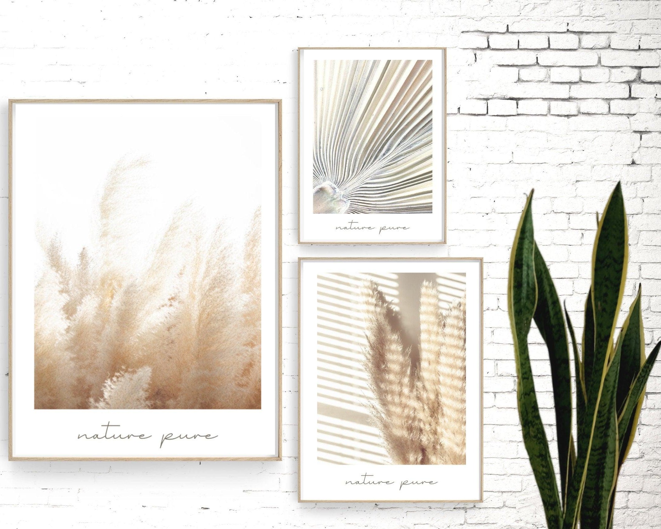 Poster | Natur | Palmen | Gräser | Pampas - Roo's Gift Shop