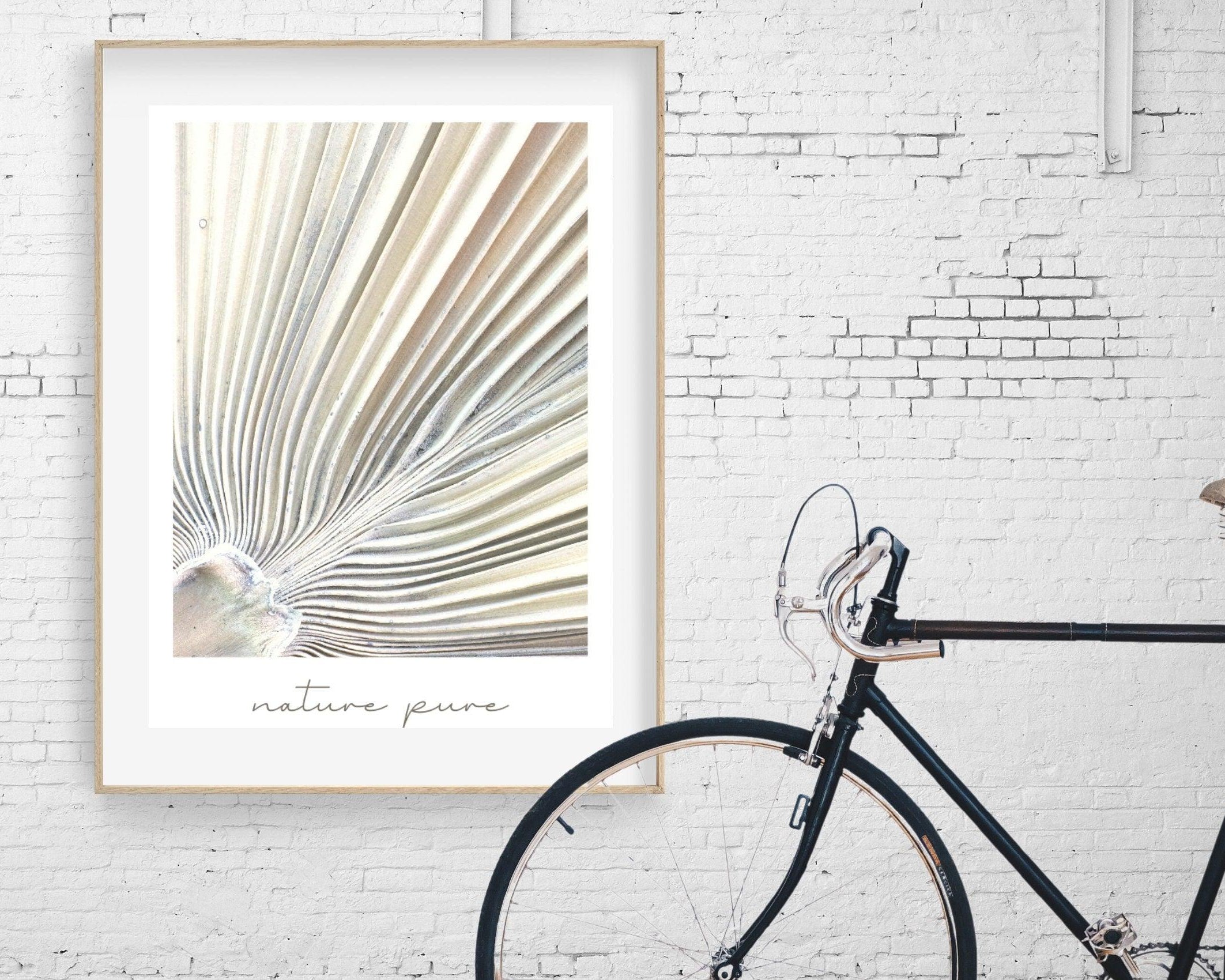 Poster | Natur | Palmen | Gräser | Pampas - Roo's Gift Shop