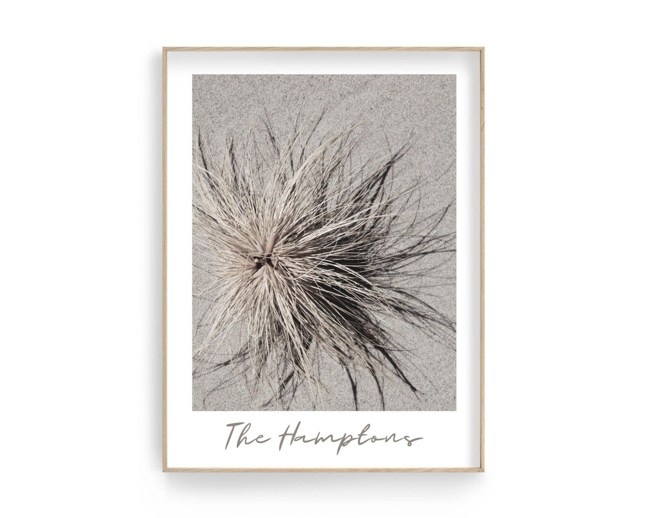 Poster | The Hamptons | Düne | Strandgras - Roo's Gift Shop