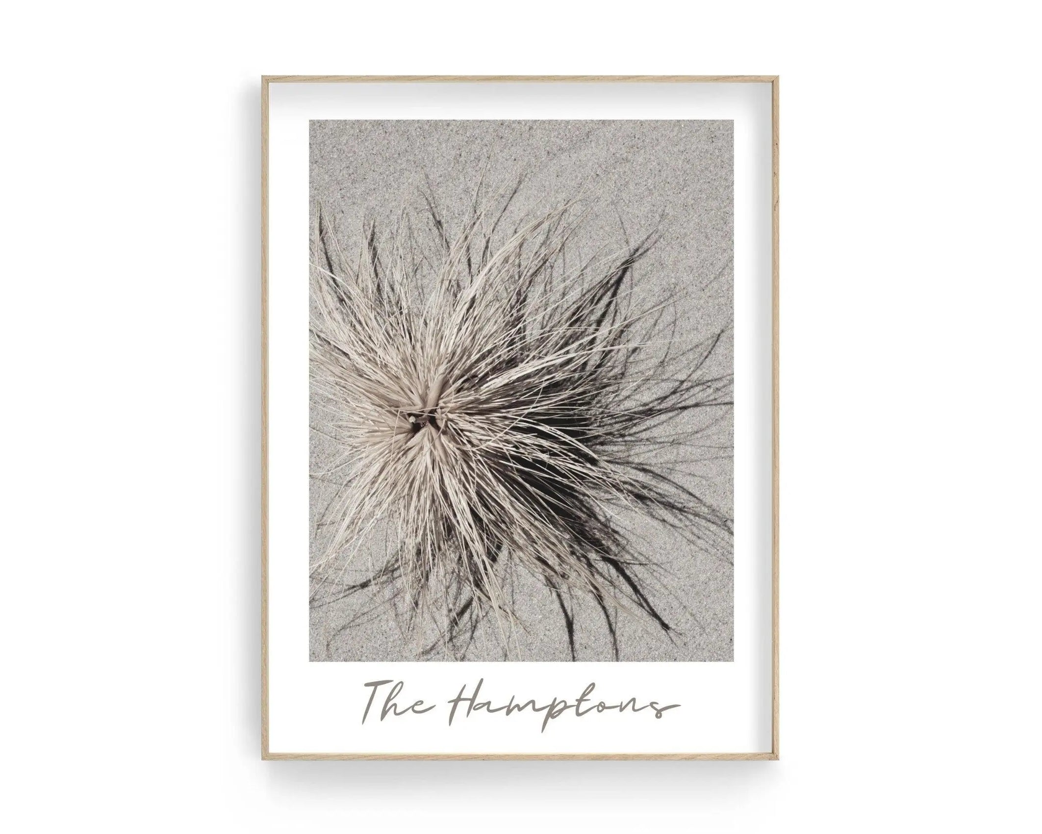 Poster | The Hamptons | Düne | Strandgras - Roo's Gift Shop