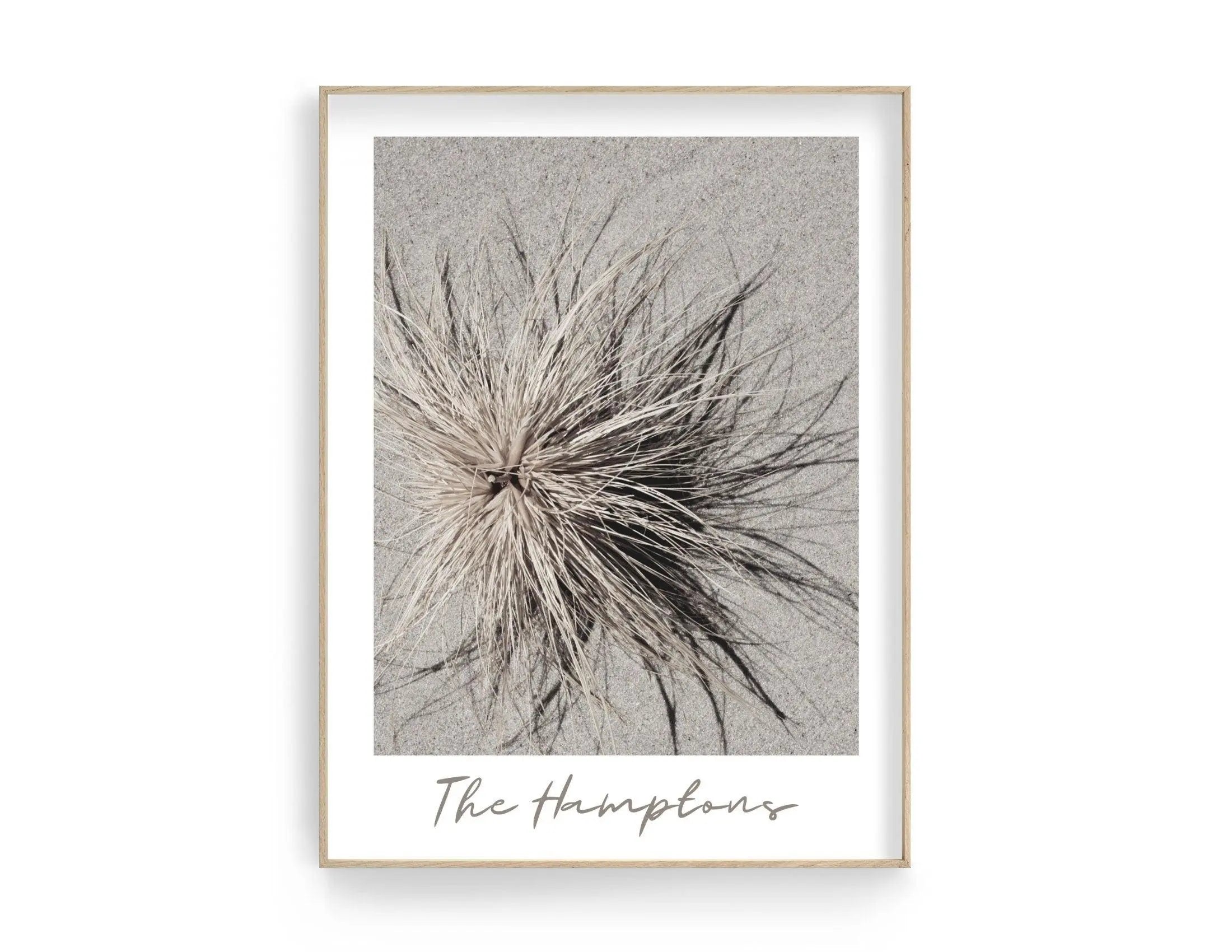 Poster | The Hamptons | Düne | Strandgras - Roo's Gift Shop