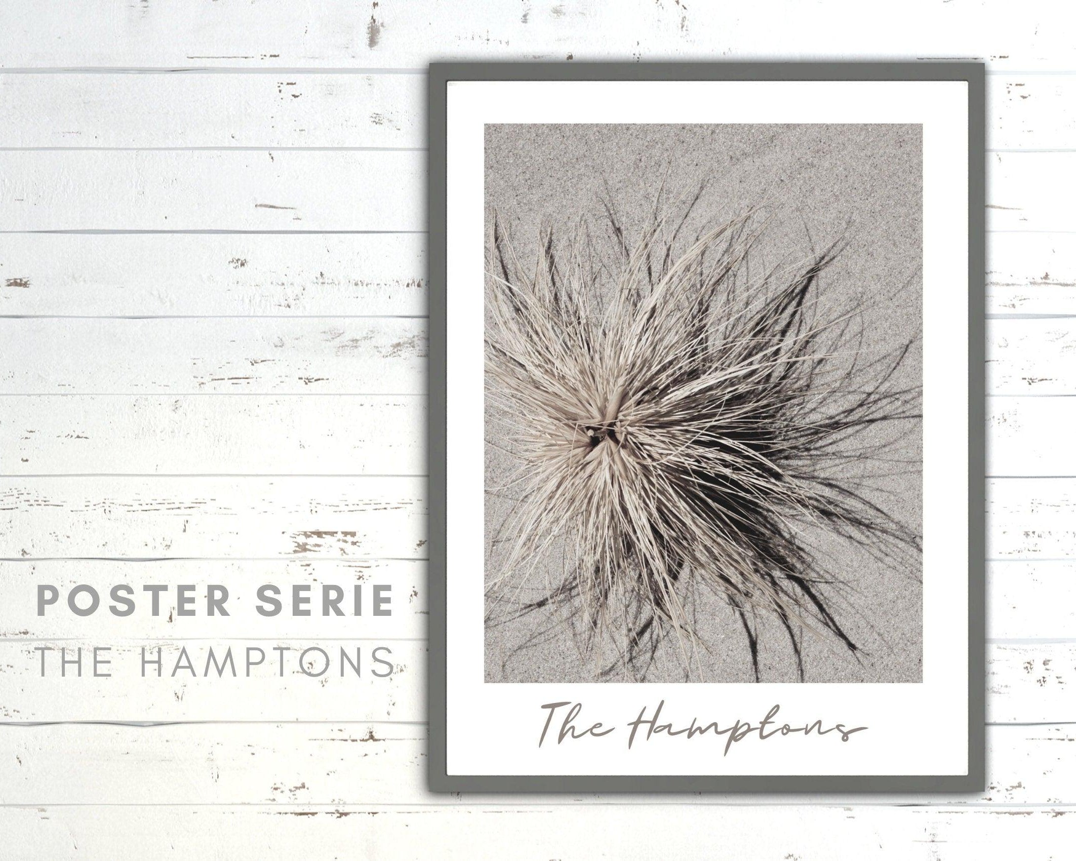 Poster | The Hamptons | Düne | Strandgras - Roo's Gift Shop