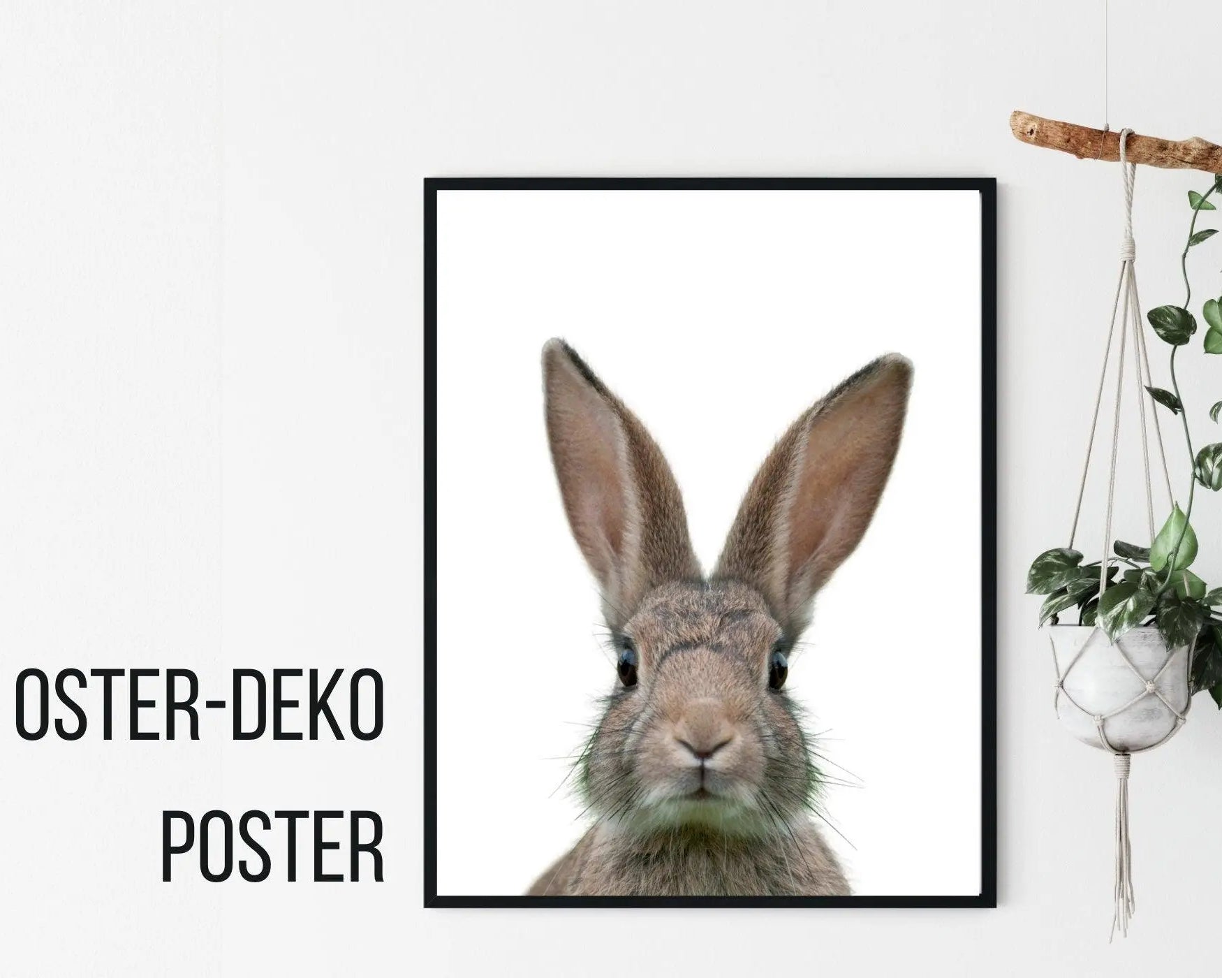 Poster | Tierposter Hase | Osterhase - Roo's Gift Shop